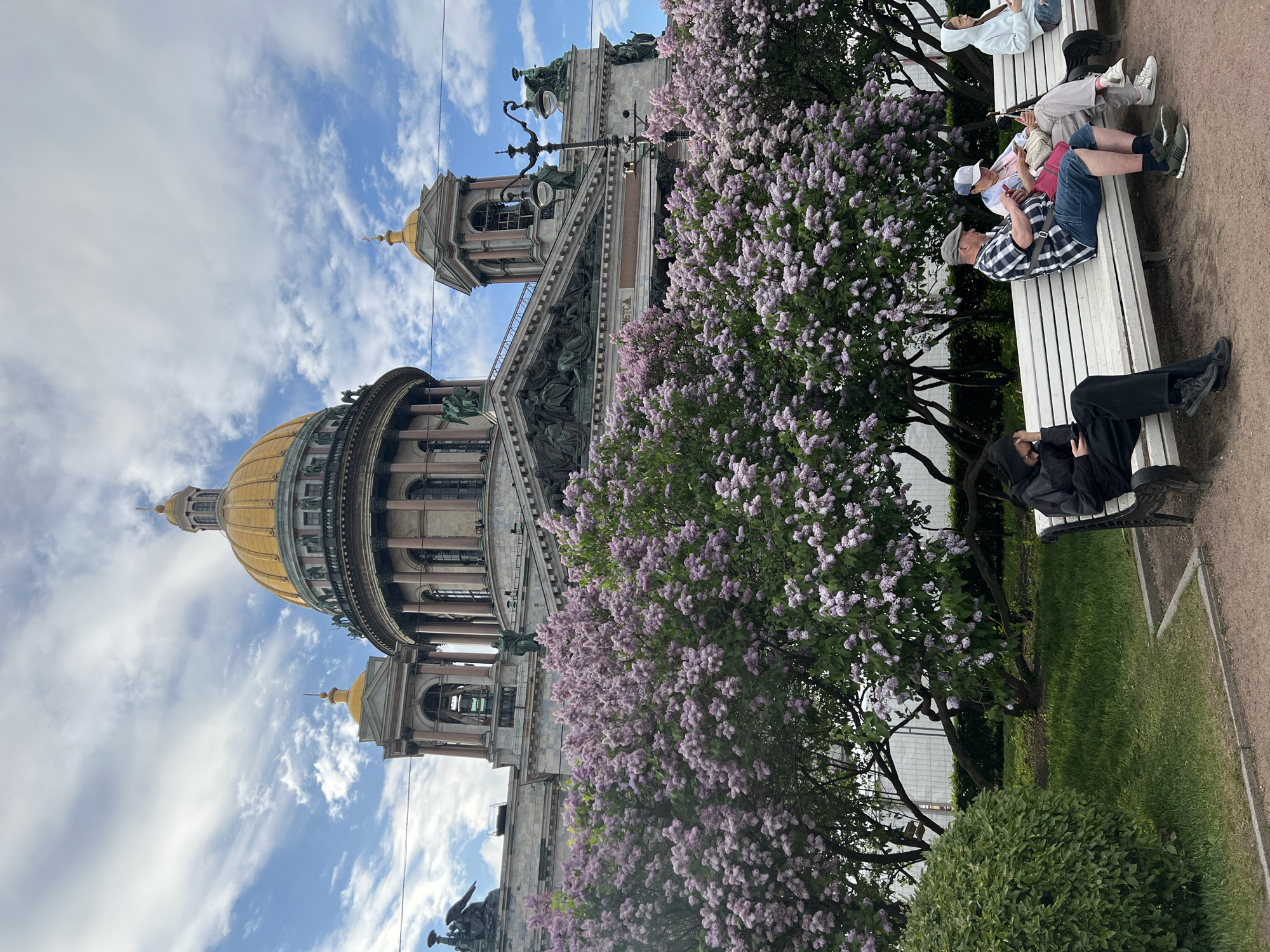 Here is a description of the image:
The image depicts a partly-obstructed view of St. Isaac's Cathedral, a large cathedral in St. Petersburg, Russia. The cathedral's golden dome is visible against a blue sky with wispy white clouds. The facade of the cathedral, with its columns and sculptures, is partially obscured by a flowering lilac tree with clusters of purple blossoms.
To the right of the lilac tree, several people are sitting on a white park bench. One person is lying down and appears to be resting, while others are sitting and possibly looking at their phones or interacting with each other. The bench is situated near a grassy area and a pathway.