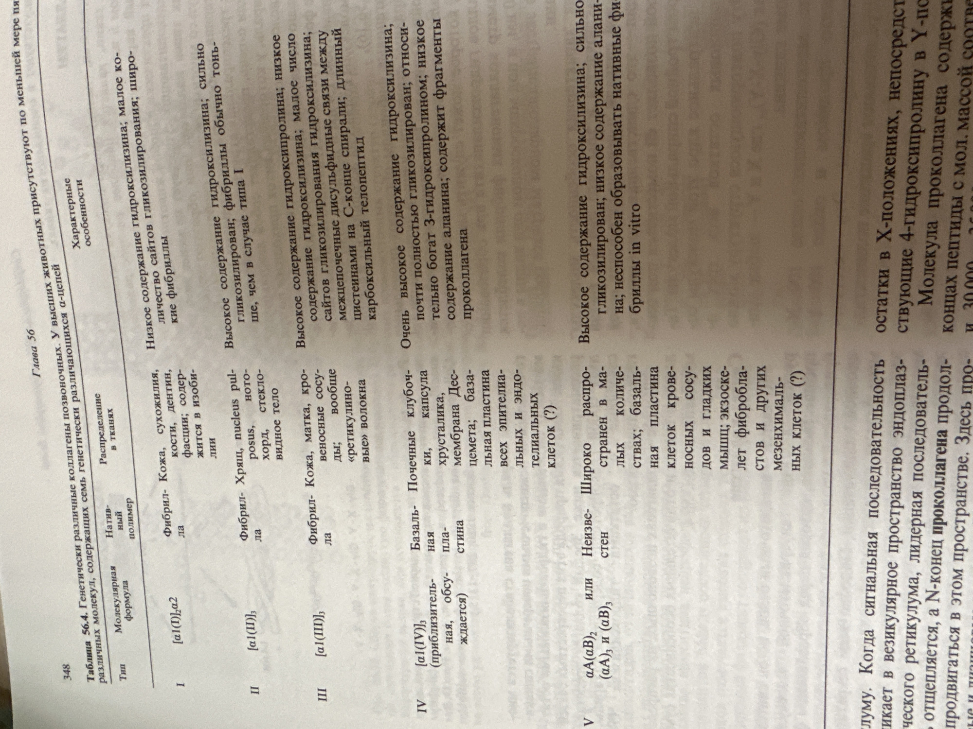 The image is a close-up, eye-level, slightly angled shot of a page from a textbook or scientific publication. The page contains a table with information about different types of collagen. The table is divided into columns labeled "Тип" (Type), "Молекулярная формула" (Molecular formula), "Натив- ный полимер" (Native polymer), and "Распределение в тканях" (Distribution in tissues), as well as a column for "Характерные особенности" (Characteristic features). The text is in Russian. There are no indications of a city, country, or specific location within Kazan, Russia.