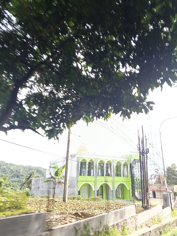 A two-story lime green and white building, possibly a mosque, stands beneath a canopy of green leaves. The building features arched windows and a dome. Lush greenery and trees surround the building. Power lines are visible against the bright sky. A low concrete wall runs along the foreground. A hillside is visible in the background.