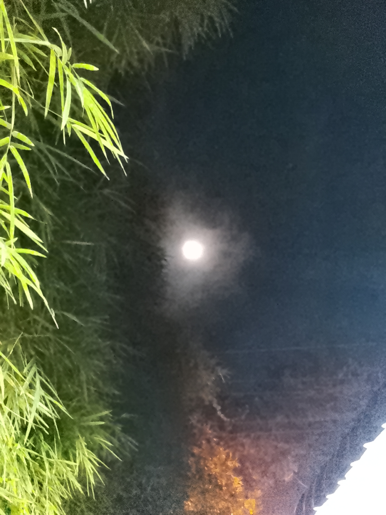 A low-angle shot shows a full moon surrounded by a soft halo, against a dark blue night sky. Bamboo leaves are visible in the upper left, appearing sharp and green, illuminated by an unknown light source. In the lower portion of the scene, indistinct reddish-orange illumination suggests the presence of a light source near the ground, perhaps a street lamp or a building light. The exact location and date cannot be determined from the image alone, so the city of Lhokseumawe, Indonesia cannot be verified. No people, actions or interactions are apparent in the image.