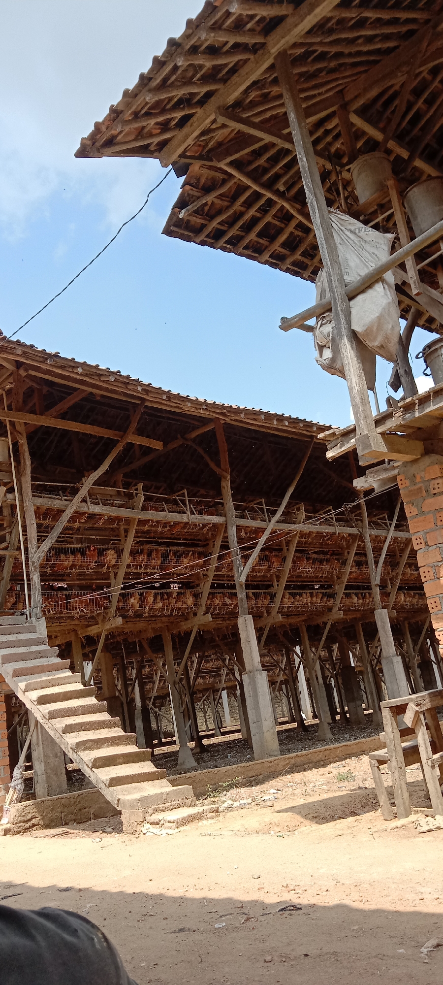 The image depicts a multi-tiered chicken coop with a wooden structure and a tiled roof, situated outdoors. The coop is filled with numerous chickens housed in cages stacked on several levels, supported by concrete pillars and wooden beams. A concrete staircase leads up to one of the levels. In the background, the sky is visible, and there are hints of vegetation on the ground. A large sack is hanging from the wooden structure in the upper right portion of the image, next to some buckets. The ground appears to be dirt and debris. The scene is likely located in or around Utama Jaya Mataram, Indonesia, given the architectural style and environmental cues. No people are clearly visible in the image.
