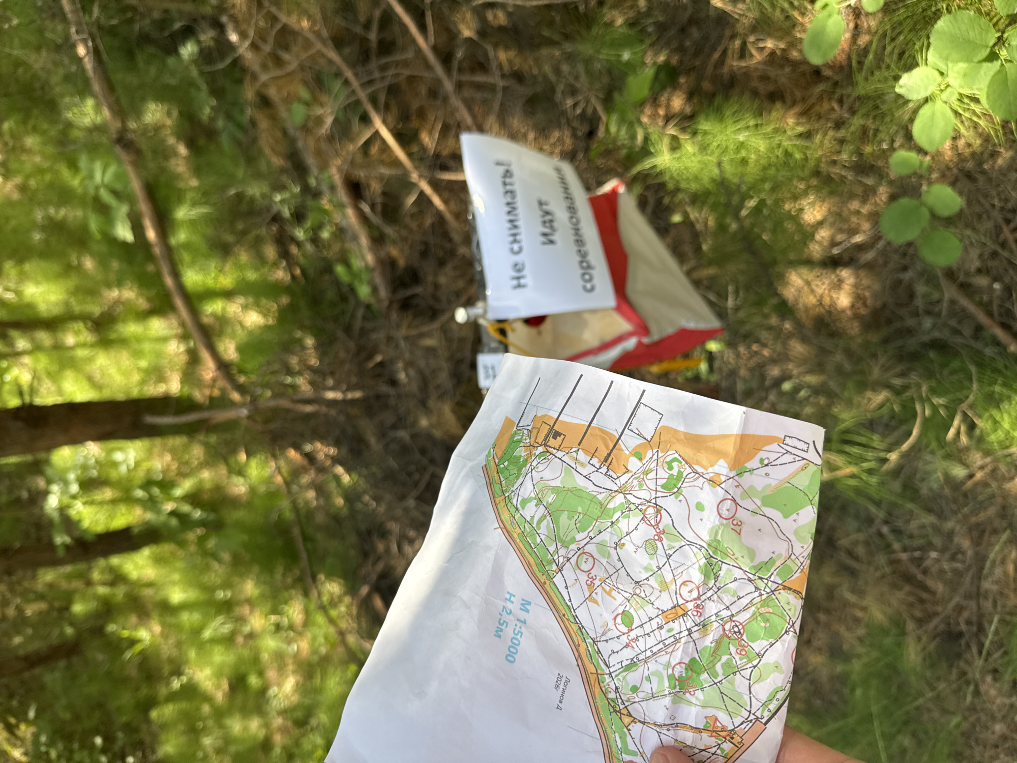 The image depicts a scene in a forest, likely near the city of Chaikovsky, Russia, where an orienteering competition is taking place. In the foreground, a hand holds a portion of an orienteering map, showing various topographical features like contours, water bodies, and vegetation. The map has scale information indicating M 1:5000 and H 1:2.5m. In the background, a control point for the orienteering event is visible. It's a white and red structure, likely a flag or marker, with a small white piece of paper attached to it. This paper has Russian text that reads "Не снимать! Идут соревнования", which translates to "Do not remove! Competitions are underway". The environment is characterized by trees, undergrowth, and dappled sunlight filtering through the foliage, consistent with a wooded area.