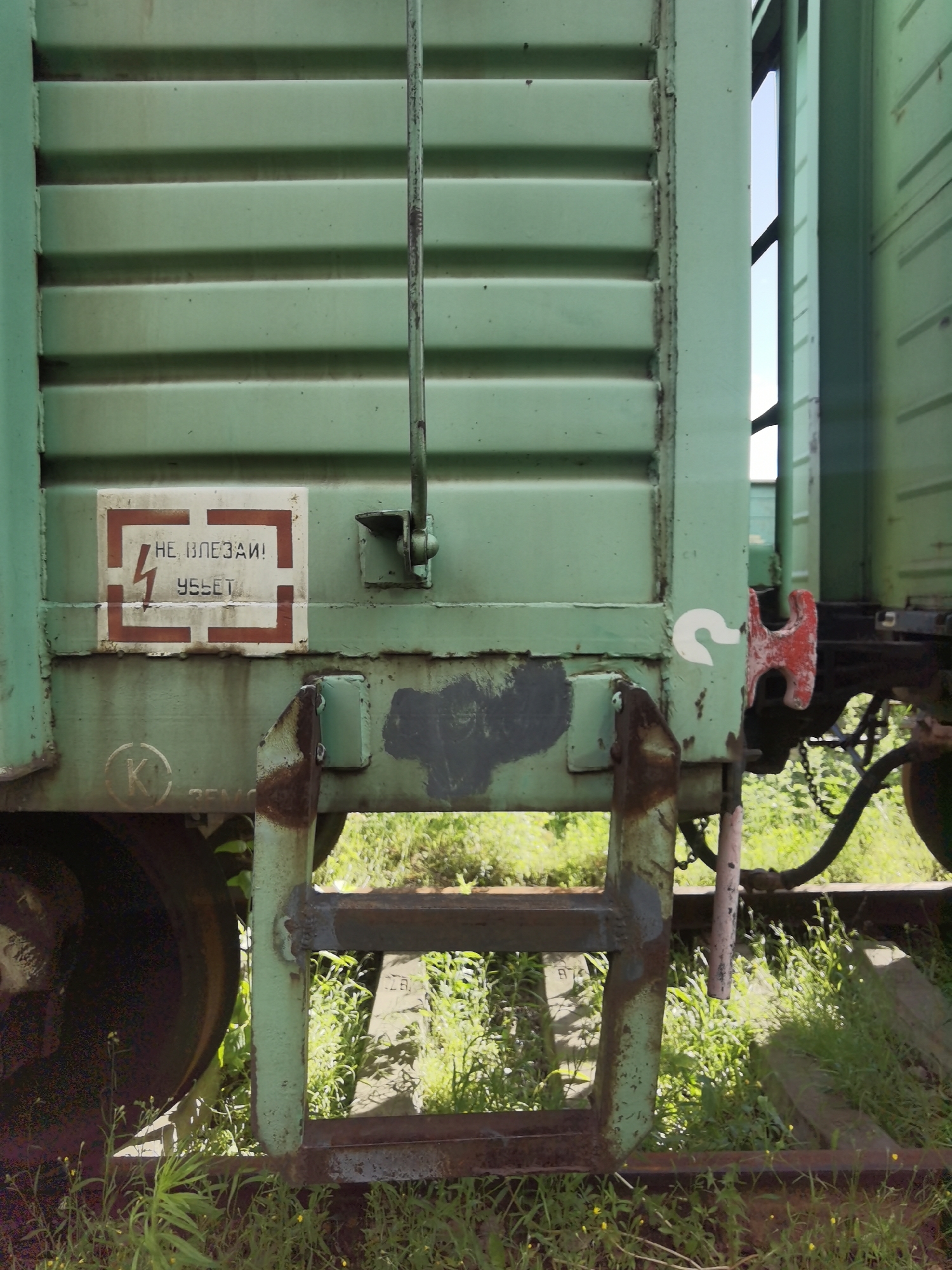 The image shows the side of a green railway car in Chaikovsky, Russia. A caution sign with a lightning bolt symbol and the Russian text "НЕ ВЛЕЗАЙ! УБЬЕТ" (Do not climb! Will kill) is affixed to the car's exterior. Below the sign, a metal ladder is attached to the car's frame, and rusted handrails are visible. The car is on a railway track surrounded by green grass and some overgrown vegetation. The overall condition of the railway car suggests it is old and may be in disuse.