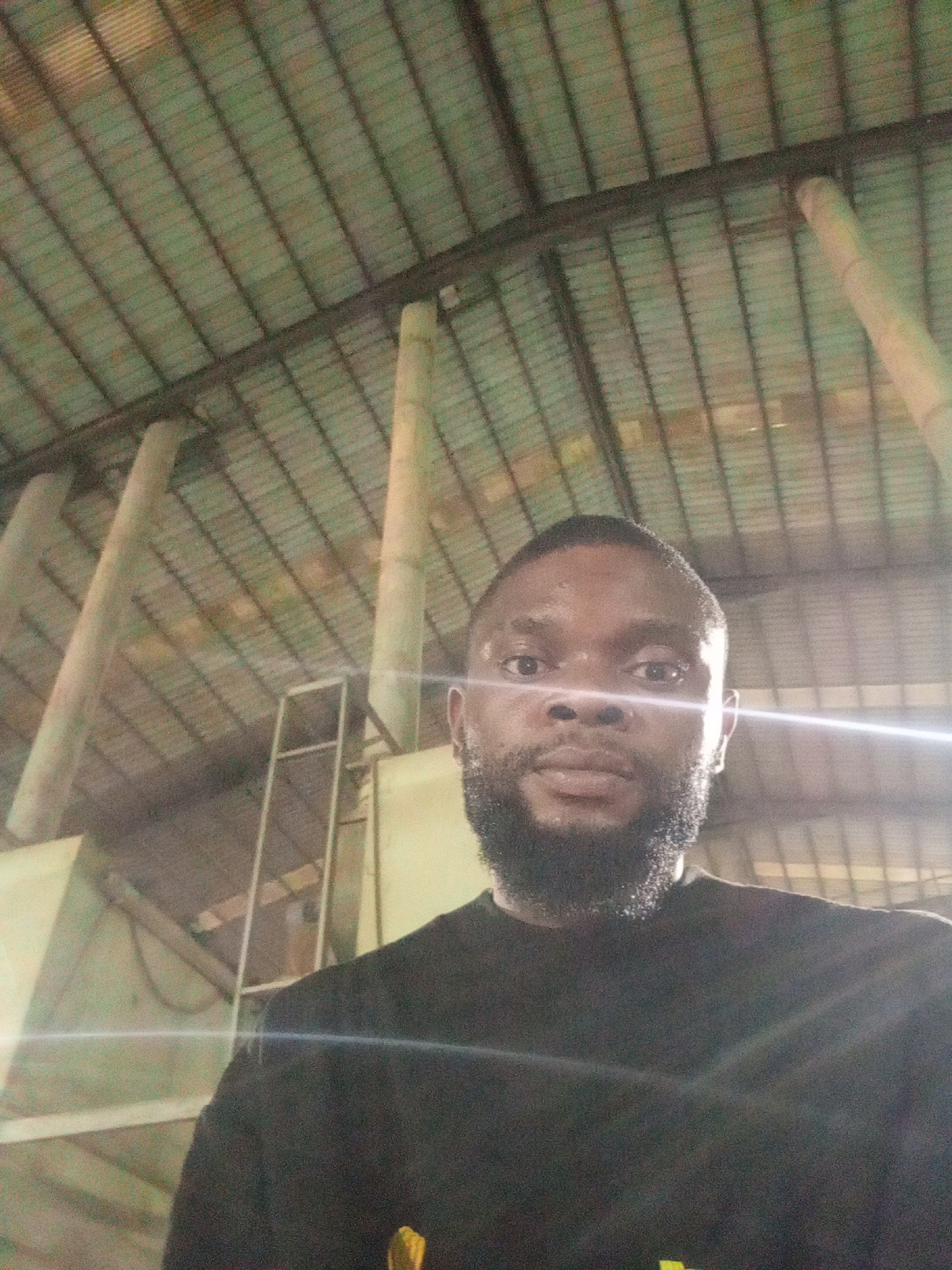 An adult male subject is depicted in a frontal, eye-level close-up, reported to be within an indoor industrial or warehouse environment in Magboro, Nigeria. The man occupies the lower half of the frame, possessing short dark hair and a full dark beard, and is wearing a dark-colored t-shirt with a subtle yellow/green emblem on the lower right chest area. His gaze is directed forward, meeting the camera lens. A prominent diagonal light flare extends from the upper right across his right eye, nose, and chest. The background reveals a high, corrugated metal roof structure, supported by dark horizontal beams, with several large, light-colored cylindrical columns or ducts visible, extending towards the roof. A faint rectangular metallic structure is present behind the subject's left shoulder. The scene is characterized by dim ambient lighting contrasted by the intense glare.