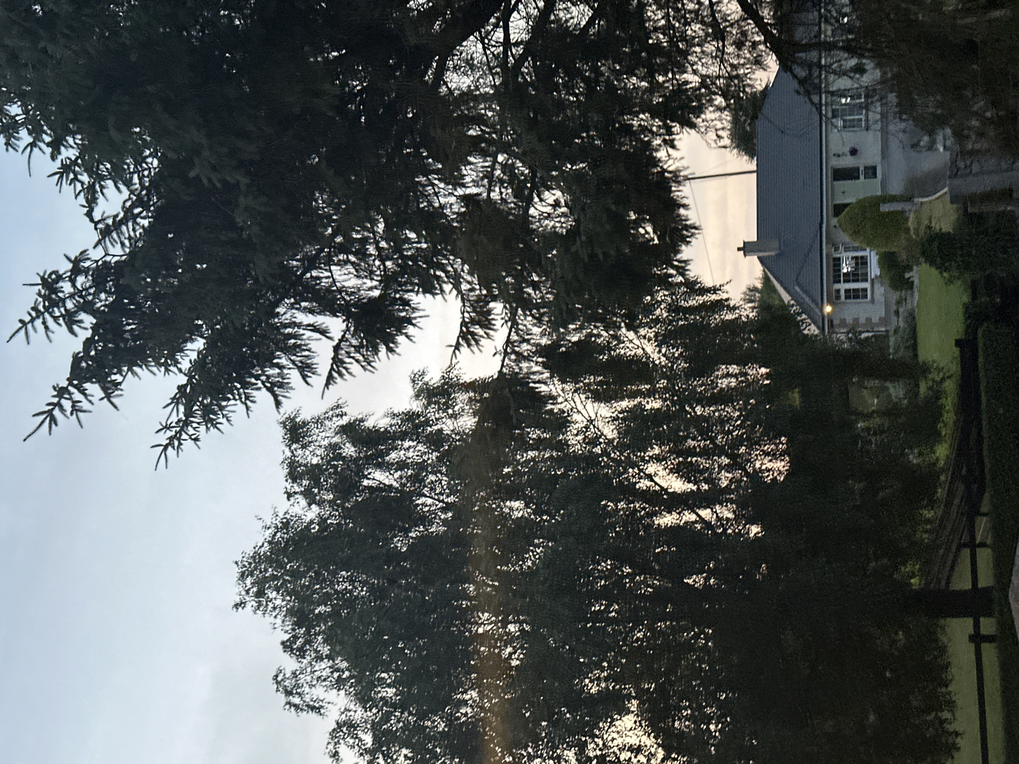 A bungalow-style house with a dark grey tiled roof is visible through the foliage of trees. The house has a pale grey facade, white-framed windows, and a green front door. A well-maintained lawn and some shrubbery surround the house. The sky above is a soft, overcast grey. The image appears to be taken from a slightly elevated position, looking down towards the house and its grounds. The trees in the foreground are dense and dark, obscuring parts of the view. The location is identified as Moortown, Ireland.