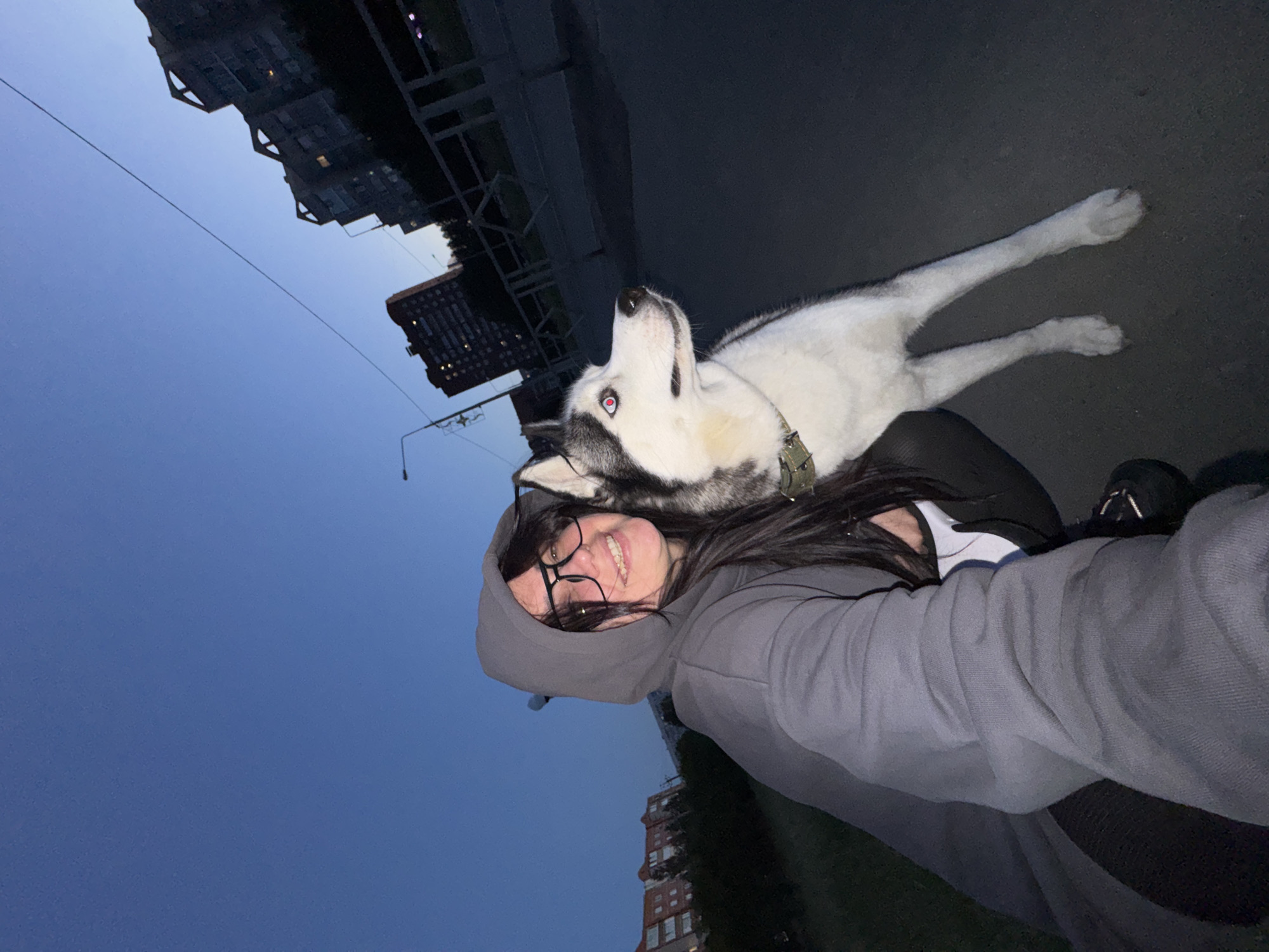 A self-portrait captured outdoors at dusk or early night shows a smiling young woman posing with a husky dog. The image is oriented sideways, with the ground and sky appearing vertically. The woman, wearing a grey hooded sweatshirt and glasses, holds the camera to take the selfie, with the husky lying with its head on or very close to her. The dog, predominantly white with black and grey markings and wearing a green collar, looks upwards with an attentive expression.
The background reveals a deep blue twilight sky, indicating the time of day. Silhouettes of urban or suburban buildings are visible against the sky, along with a thin wire or cable stretching across the frame. The ground beneath the subjects appears to be dark pavement or asphalt. The woman's smile suggests a happy and casual moment shared with her pet. There is no visible text in the image.