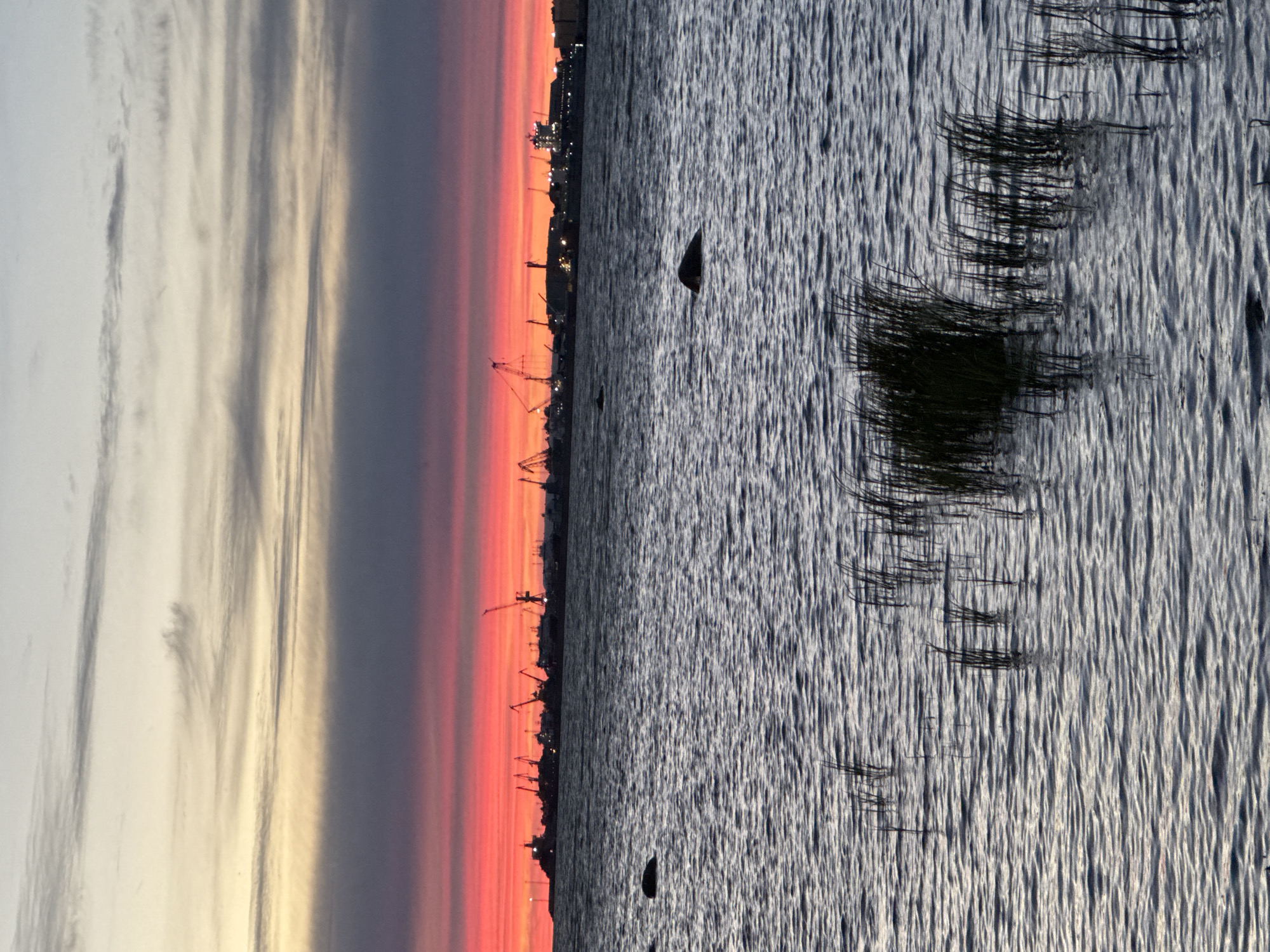The image depicts a sunset over a body of water in Tallinn, Estonia, with a silhouetted port in the background. The sky is illuminated by vibrant bands of red and orange, transitioning to muted purples and grays, with wispy clouds. The water is rippled, reflecting the sky's colors. In the foreground, dark reeds emerge from the water. In the mid-ground, a few large, dark rocks are visible above the water's surface. The distant horizon is dominated by the silhouette of the Port of Tallinn, featuring numerous cranes, ships, and buildings. The scene is devoid of any people or animals.