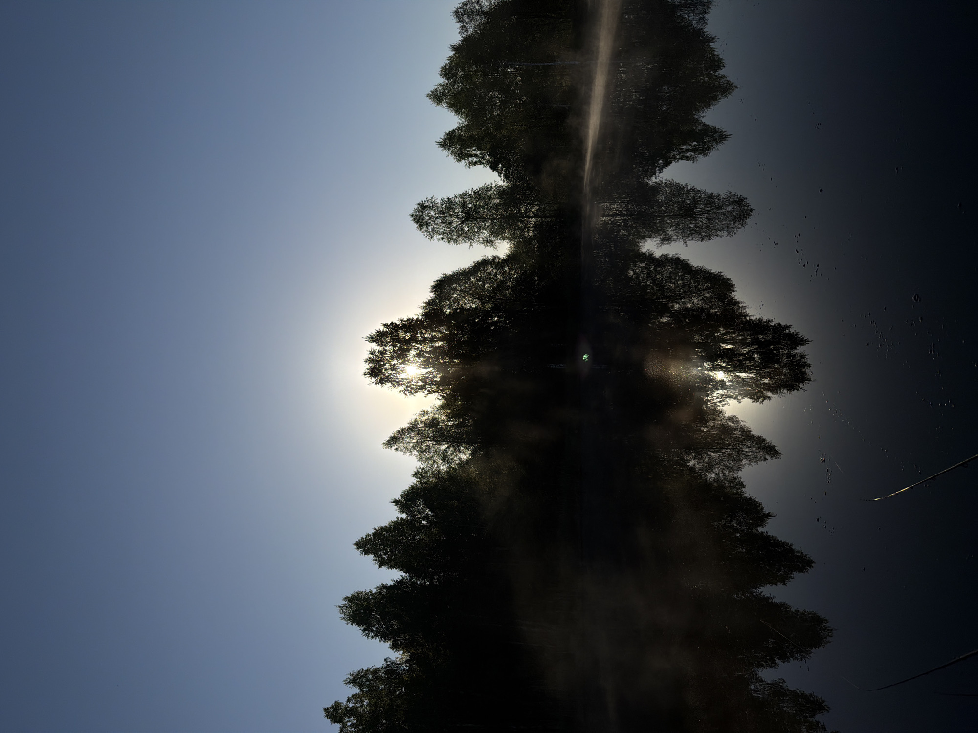 The image shows a reflection of trees in a body of water. The sky is visible on the left side, transitioning from a lighter to a darker shade. The sun is positioned behind the trees, creating a bright glow around the foliage. The right side of the image appears darker, representing the water reflecting the trees. There are small water droplets visible in this part of the image. The scene could be located near the city of Belaya Gora, Russia, in a natural setting where bodies of water and trees are present.