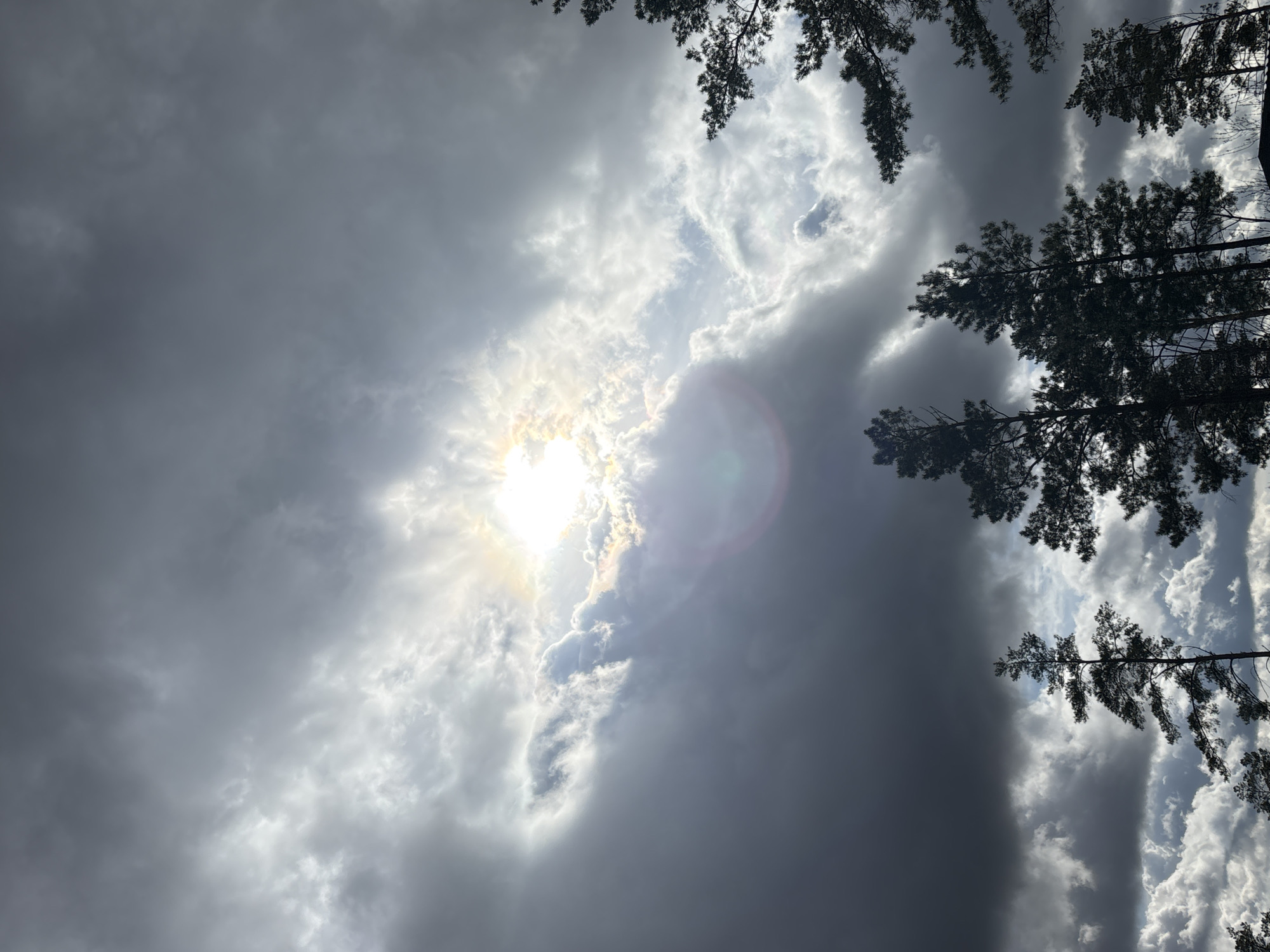 The image shows a view looking up towards a bright sun partially obscured by clouds. The sky is filled with varying shades of grey clouds, creating a dynamic contrast between light and shadow. The tops of pine trees are visible around the edges of the frame, suggesting a wooded area. A lens flare is visible near the sun. The city of Orenburg, Russia is not identifiable from the image.