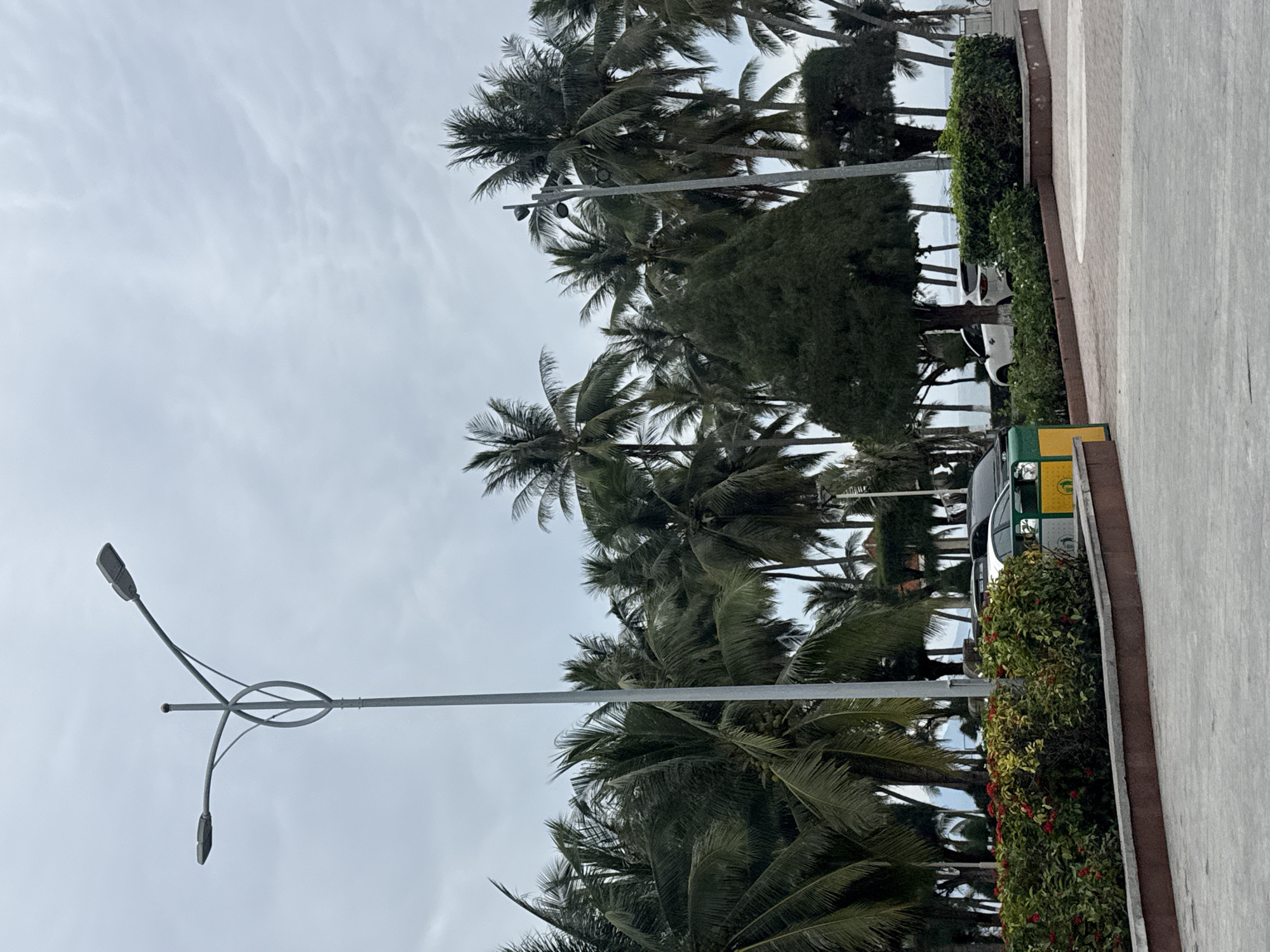 This image captures a scenic view of a coastal area in Nha Trang, Vietnam. In the foreground, a paved walkway leads towards a well-maintained garden featuring lush green bushes with vibrant red flowers. Behind the garden, a light grey pole with a dual-headed lamppost stands tall against a cloudy sky. A row of palm trees forms a dense backdrop, with their fronds swaying gently. In the middle ground, several parked cars are visible, including a white SUV and a dark-colored sedan. The ocean is visible in the distance, with faint mountain ranges on the horizon. The overall atmosphere is serene, suggesting a peaceful day in this Vietnamese coastal city.