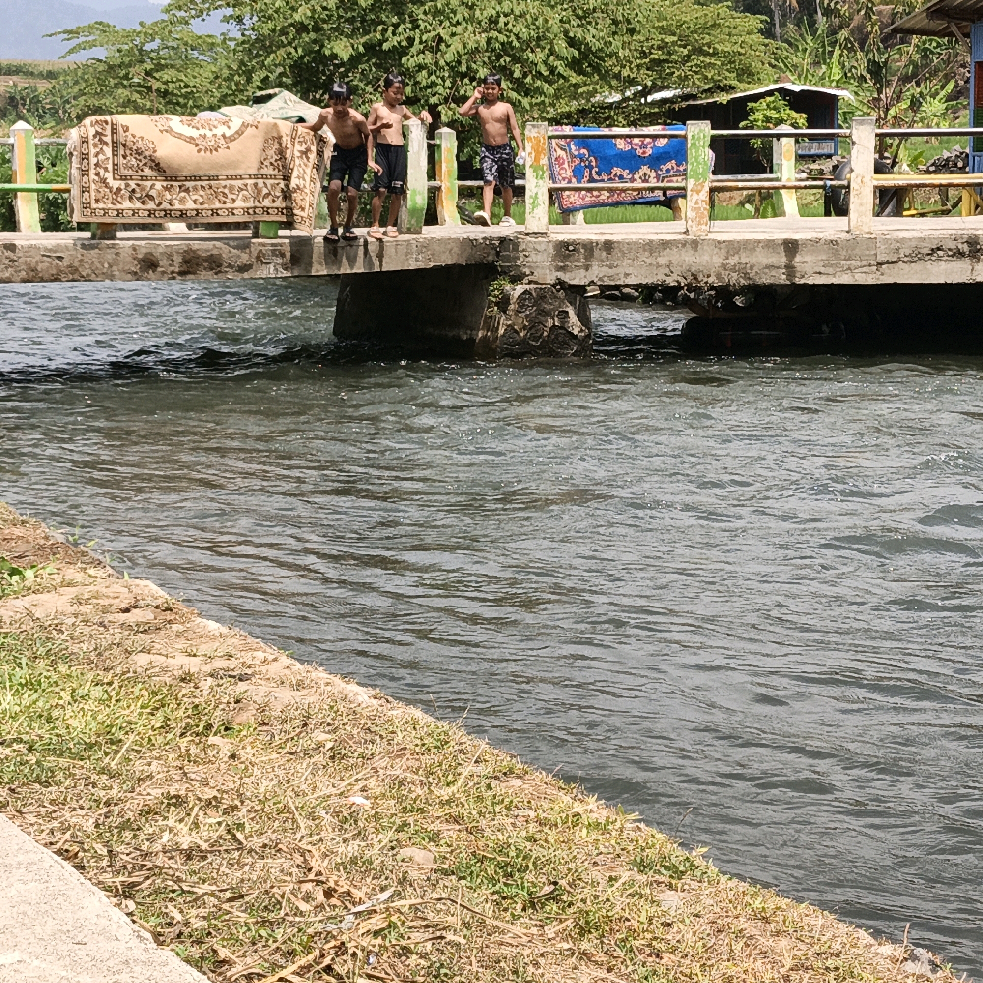 In Penusupan, Indonesia, three young boys are gathered on a concrete bridge spanning a flowing body of water. Two boys, dressed in dark shorts, stand near the left side of the bridge, with one appearing to be preparing to jump into the water. The third boy, also in dark shorts, stands slightly to the right, facing forward and looking towards the water. A large, ornately patterned rug is draped over the railing on the left side of the bridge, and another rug with a blue and red pattern is on the railing to the right. The bridge's railing is supported by posts that are painted with green and yellow stripes. The water below is choppy, reflecting the bright sunlight. The background features lush green trees, foliage, and a mountainous landscape under a clear sky. The riverbank on the left side of the image is covered in dry grass and some concrete.