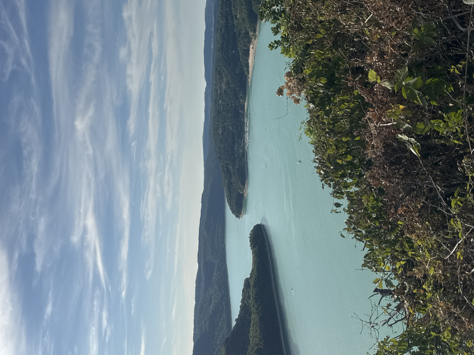 This is a landscape photograph of a wide, turquoise lake surrounded by lush, green, tree-covered hills under a bright blue sky with wispy white clouds. In the foreground, dense foliage and branches partially obscure the view of the lake and hills. The lake curves into the distance, with a small beach visible on its right bank and a cluster of moored boats in a bay on the left. A few small boats are scattered across the water. The scene is likely the Lac de Vouglans, located in the Jura region of France, near Moirans-en-Montagne. No people are visible in the image.