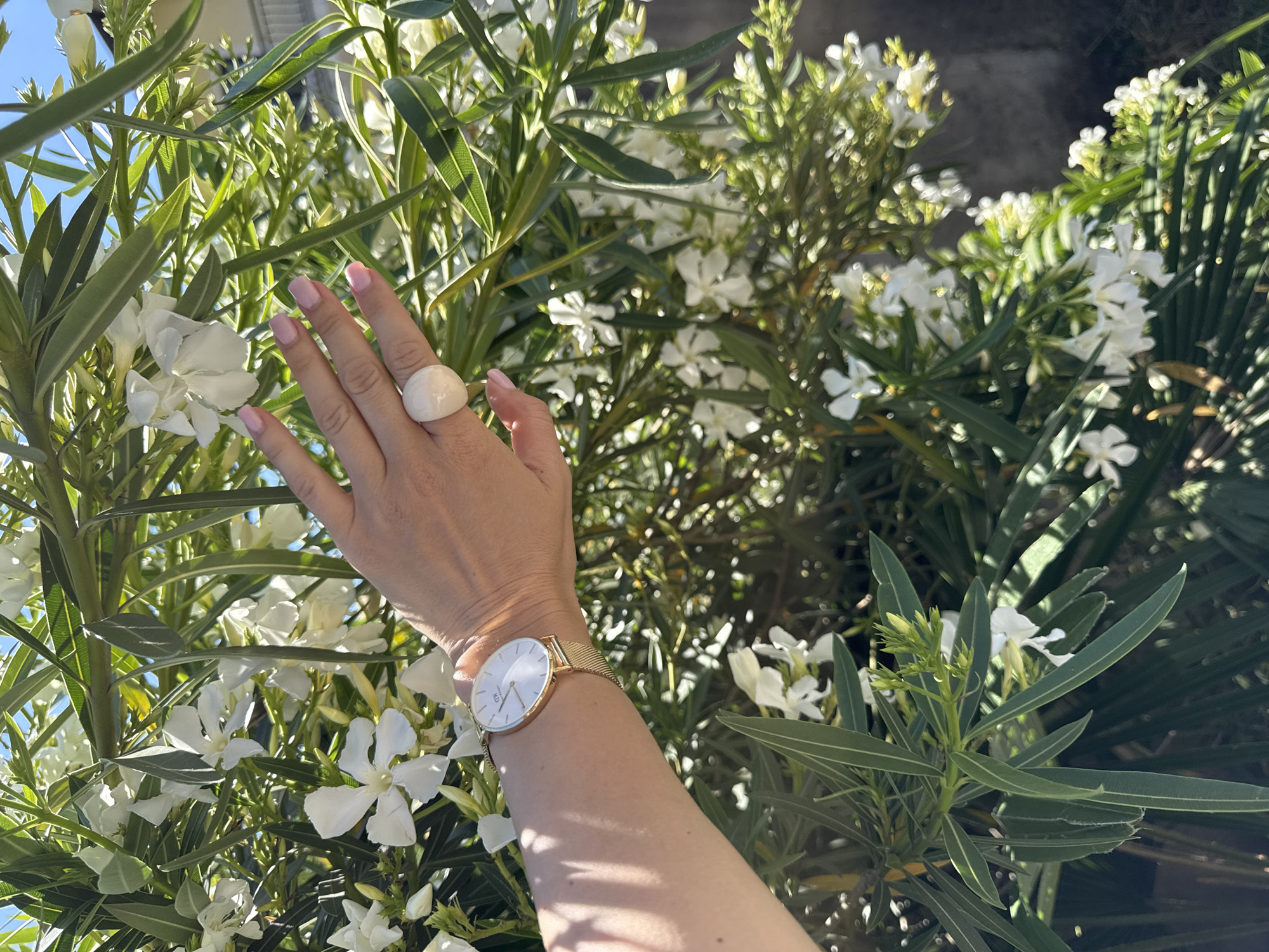 A close-up shot shows a woman's left hand adorned with a gold watch and a large white ring reaching out towards blooming white flowers and green foliage. The sunlight casts dappled shadows on her arm. The background is filled with dense green leaves and clusters of small white flowers, indicating an outdoor setting. The image was taken in Sochi, Russia.
