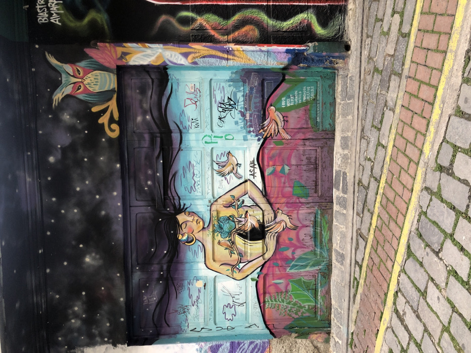 A vibrant mural adorns a wall, featuring a woman with dark hair lying horizontally. Her torso is decorated with a blue flower and surrounded by flying birds. The mural transitions from a starry, dark background on one side to a vibrant mix of turquoise, purple, and pink on the other, with plant motifs at the bottom. Above the woman's head, an owl is painted against the dark background. The mural is framed by a stone wall on the right and other colorful graffiti above and below.