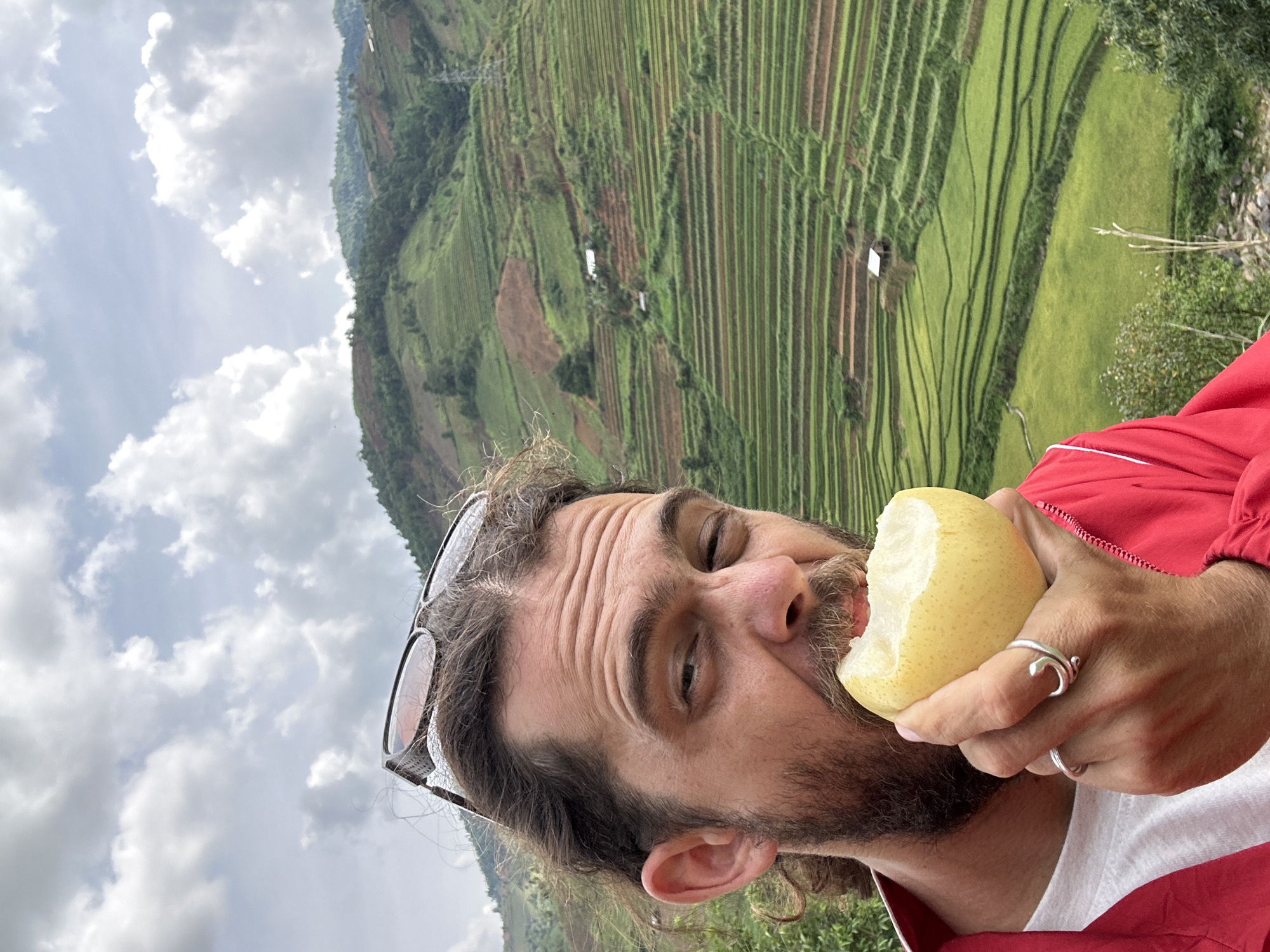 An eye-level, upright shot captures a man in the foreground, heartily taking a bite from a large, yellowish-green pear. The man, depicted from the chest up, has dark, curly hair, a full beard, and a mustache. He wears sunglasses pushed up onto his head, a red jacket with a white stripe, and a white shirt underneath. His right hand holds the pear, revealing two silver rings: one with an open, abstract design on his index finger, and a simple band on his ring finger. His expression appears focused on the act of eating, with his eyes directed slightly to the side.
The background unfolds into a breathtaking panoramic view of extensive terraced fields, indicative of a mountainous agricultural region, specifically Khao Mang, Vietnam. The terraces are meticulously carved into the steep slopes of distant hills and mountains, creating intricate patterns of vibrant green, interspersed with patches of darker vegetation and some brown earth. A few small, simple structures are visible within the terraces. The sky overhead is bright but largely covered with soft, white and grey clouds, suggesting an overcast daytime. Lush foliage and trees are visible on the periphery, framing the expansive landscape. The image evokes a sense of a traveler enjoying a fresh fruit amidst a grand, cultivated natural environment. No text is visible in the image.
