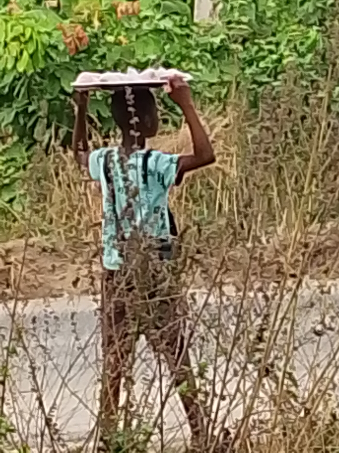 The image shows a blurry, outdoor scene featuring a person, likely a child or young individual, carrying a tray on their head. The person is positioned centrally in the frame, facing slightly to their left, with their back largely visible. They have dark skin and are wearing a light-colored, possibly teal or light blue, short-sleeved shirt that features a darker, patterned design.
On their head, the individual is balancing a flat, rectangular tray or container, which appears to be white or a very pale pinkish hue. The tray contains several indistinct individual items, possibly baked goods such as rolls or pastries, though the blurriness of the image prevents clear identification. The person's arms are raised with their hands lightly touching the sides of the tray, suggesting they are assisting in balancing the load.
The background is filled with vegetation. The upper part of the image shows lush green foliage, indicative of trees or dense bushes. Below this, and extending into the mid-ground and foreground, is drier, lighter brown vegetation, composed of numerous tall, thin stalks or dried grasses, which partially obscure the person's lower body. Through the sparser lower vegetation, a light greyish area is discernible, which could be a road, path, or a body of water.
The lighting suggests it is daytime, with no harsh shadows indicating a particular time of day. The overall scene appears to be an everyday activity. Due to the image's blurriness and resolution, no specific emotions or fine details are discernible, and there is no visible text.