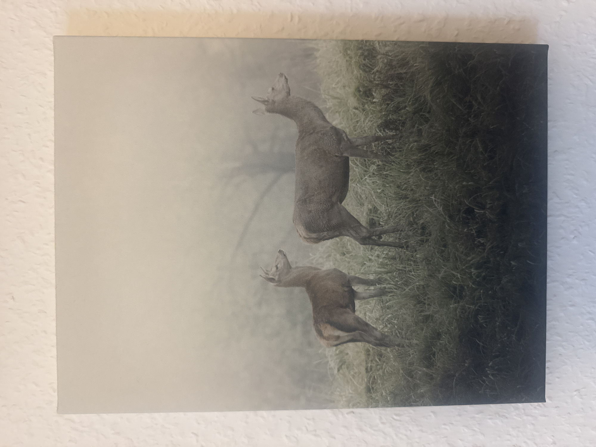 The image is a canvas print of two deer in a foggy, grassy field. The deer are reddish-brown. The deer on the left is smaller and facing left. The deer on the right is larger and facing right. The background is a muted green and grey, with a blurred tree visible in the distance. The canvas print is mounted on a textured white wall. The location is not specified in the image.