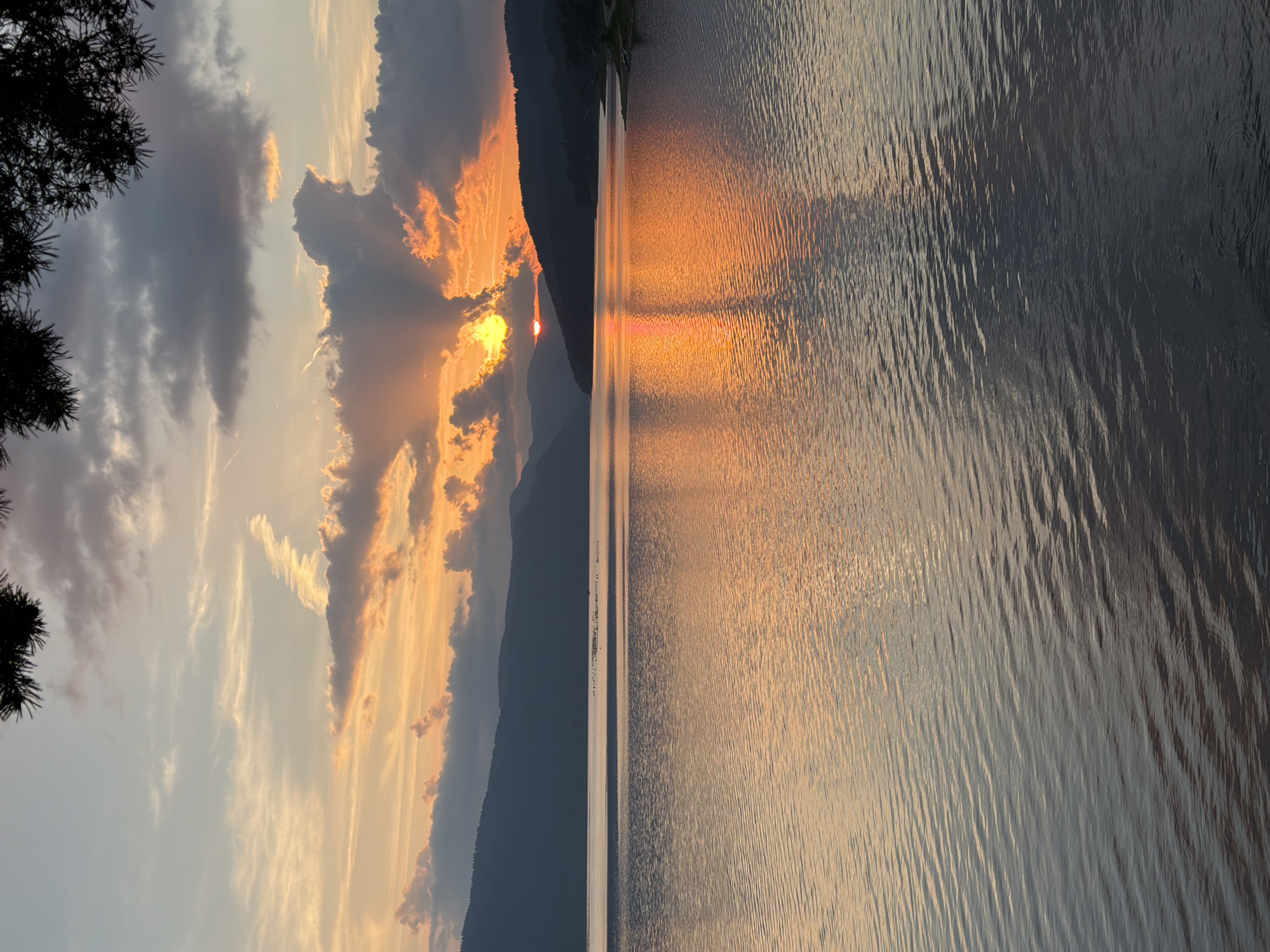 A vertical landscape photograph captures a sunset over the Dospat Reservoir in Dospat, Bulgaria. The sky exhibits a gradient of light blue in the upper left, transitioning to orange and yellow hues near the horizon, dominated by a vibrant orange-yellow sun partially obscured by dark grey and illuminated orange clouds in the middle right, emitting visible crepuscular rays. Silhouetted mountains form the distant shoreline, spanning horizontally across the midground. The expansive water surface of the reservoir reflects the intense sunset colors, creating a prominent orange and golden streak leading towards the foreground, where the water is darker grey-blue with discernible ripples. A small cluster of dark objects, possibly birds or buoys, floats on the water in the mid-left distance. A dark, silhouetted pine branch with needles extends into the upper right corner of the frame. No human figures or direct actions are present.