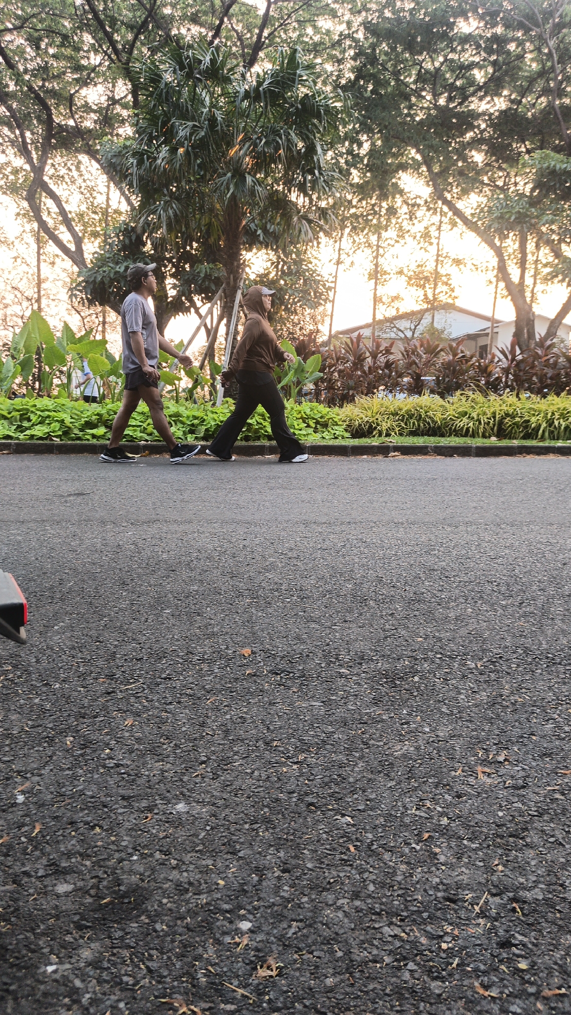 Two individuals are walking on an asphalt path in a park-like setting in Bacin, Indonesia. The person on the left is wearing a grey t-shirt, dark shorts, a baseball cap, and black sneakers. They are walking with their right arm extended slightly. The person on the right is wearing a brown hooded jacket, dark pants, and white sneakers. They are walking with their hands in their pockets or close to their body. Both individuals are walking from left to right in the frame. Behind them, there is lush green vegetation, including large-leafed plants and trees with visible branches and leaves. The background shows more trees and a structure that appears to be a building with a white facade and a dark roof. The lighting suggests it is either early morning or late afternoon, with the sun casting a warm glow through the trees. The ground in the foreground is asphalt, with scattered dry leaves and small debris. The overall scene depicts a leisurely walk in an urban green space.