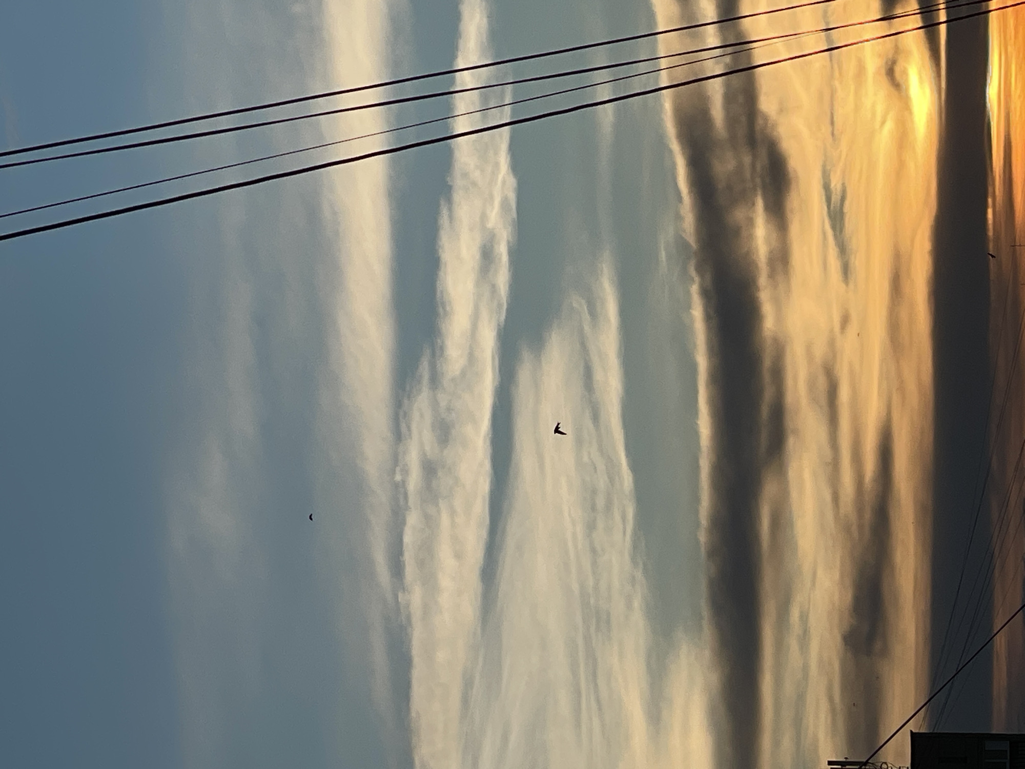 The image shows a sky with vertical cloud formations. The clouds range in color from light blue to white, gray, and gold. Three power lines run across the top of the frame. Two small birds are silhouetted against the sky. The location is not clear. The image provides no evidence of the location of Izhevsk, Russia.
