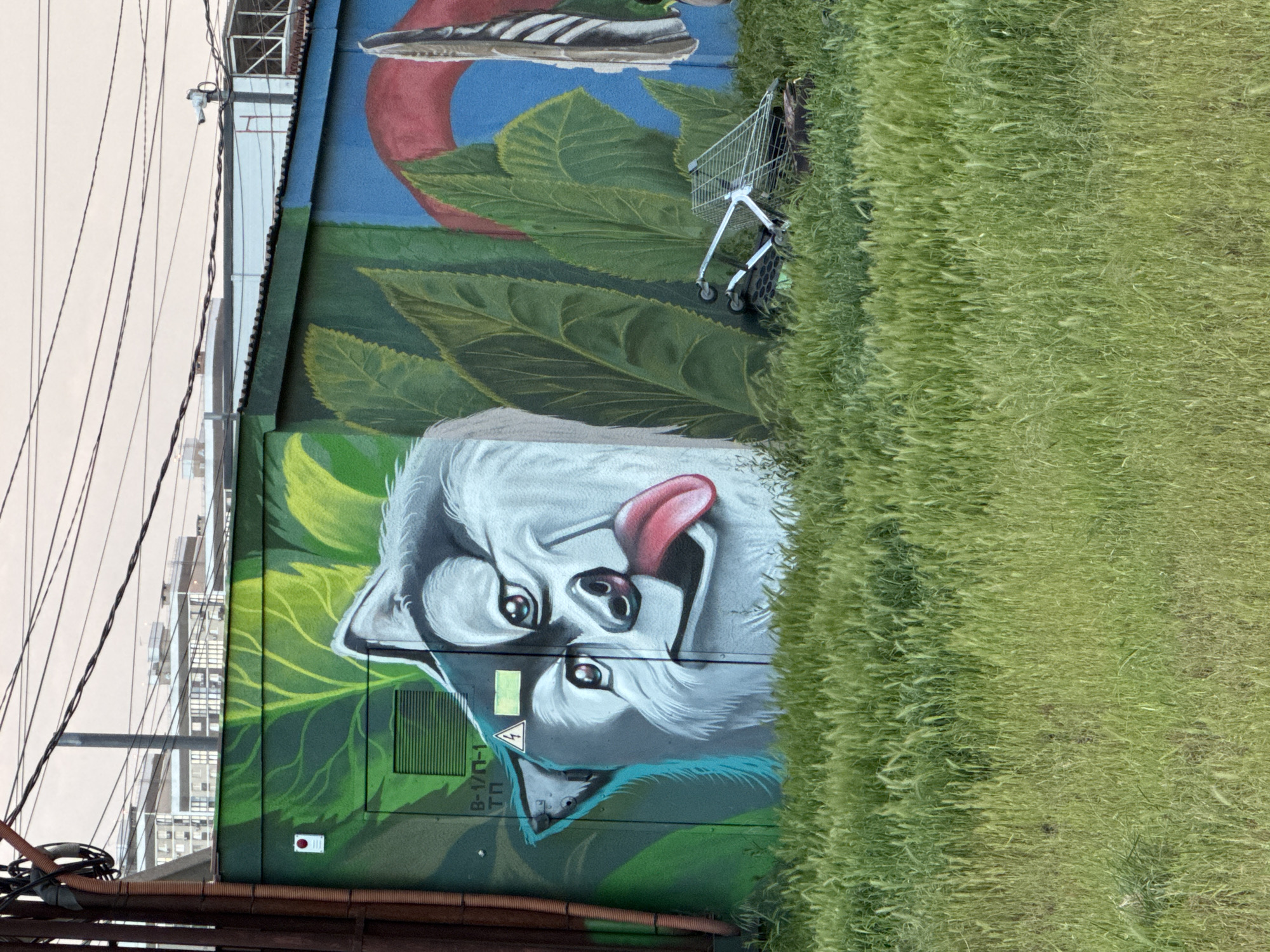 The image shows a mural on a building in Krasnodar, Russia. The mural depicts a white dog with its tongue sticking out, surrounded by green leaves. Above the dog, there is a drawing of a shoe and a red circle. A shopping cart is parked in front of the mural, partially obscured by tall green grass. Power lines are visible on the left side of the building, and a portion of a building can be seen in the background.