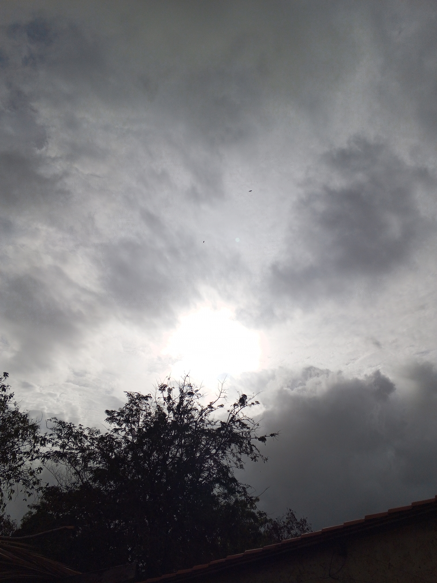 The image captures an overcast sky dominated by dense, grey clouds. A powerful light source, presumably the sun, is largely obscured by these clouds in the lower central portion of the frame, creating a brilliant white glow that contrasts with the darker surrounding clouds.
In the bottom half of the image, the silhouettes of several trees with full, dark foliage are visible. The branches and leaves are intricately detailed despite being in shadow. To the lower right, the edge of a building with a reddish-brown tiled roof can be seen, also mostly in silhouette, indicating it's situated below the dense tree line.
Scattered across the brighter parts of the cloudy sky, especially in the upper and mid-sections, are several small, dark shapes that appear to be birds in flight. Two are more prominent in the upper half of the image, while others are less distinct.
The overall atmosphere suggests a cloudy or heavily overcast daytime, possibly preceding or following rain, with dramatic lighting due to the obscured sun. There is no visible text in the image.