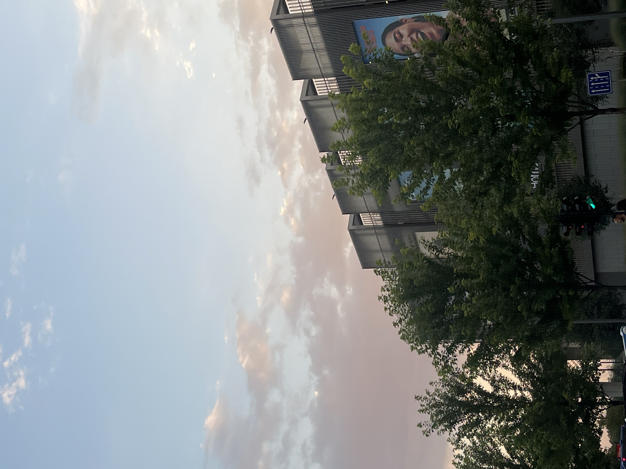 The image depicts a view of the Belgrade Waterfront, specifically along the Sava River. The sky is partly cloudy with hues of pink and blue, suggesting it is either sunrise or sunset. In the foreground, several lush green trees partially obscure a modern building complex with a facade of vertical metal louvers. Large billboards are visible on the building, one featuring a close-up of a smiling woman's face. The lower portion of the image shows traffic lights, with the green light illuminated, and street signs, indicating an urban environment. A traffic light and a blue directional sign are visible. The scene suggests a lively area with ongoing development and activity.