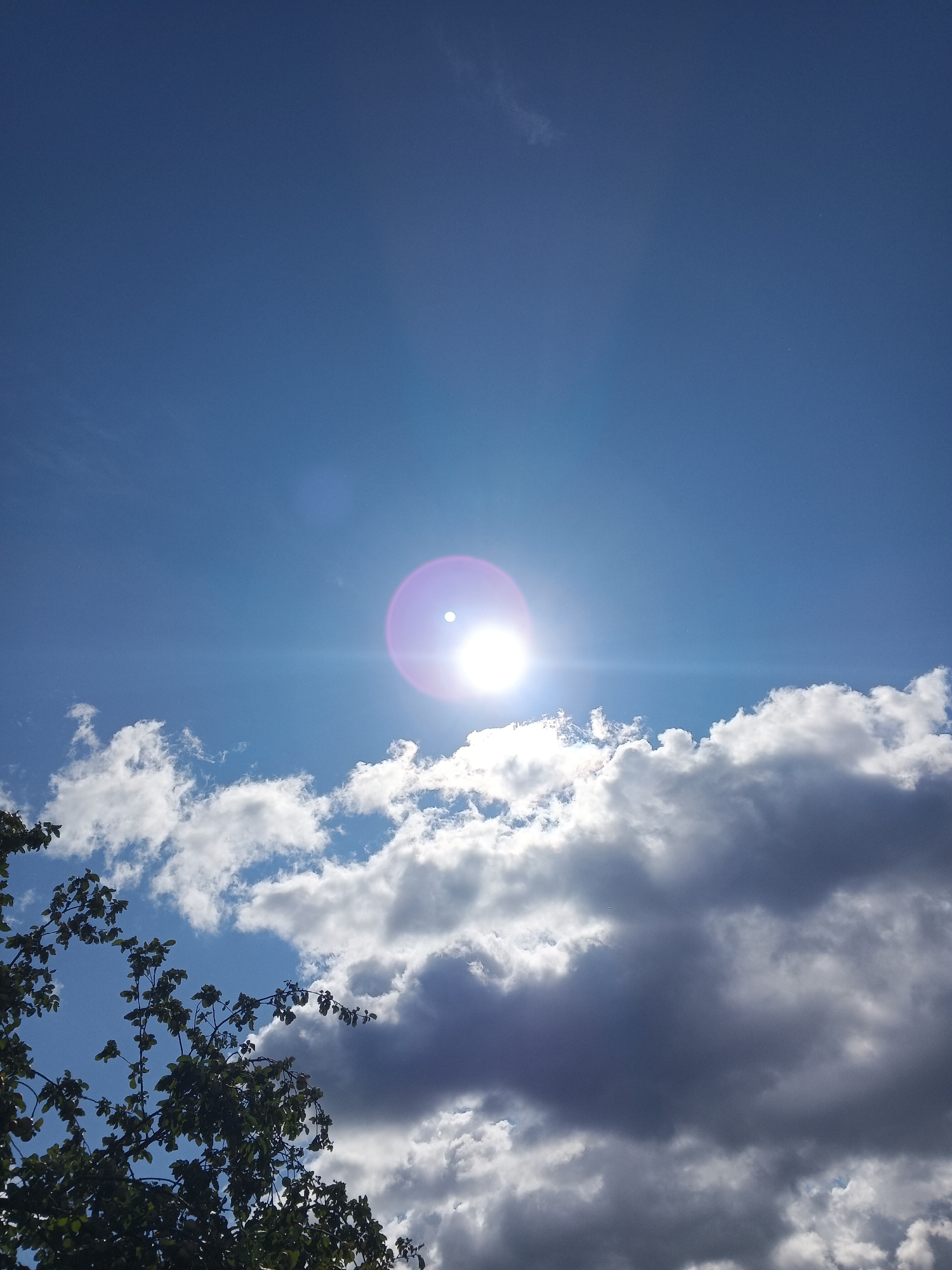 An image depicts a clear blue sky with a bright sun, displaying a lens flare. A cluster of white and dark grey clouds is visible across the lower half of the frame, extending from the right side and partially obscuring the sky. In the bottom left corner, the dark green leaves and branches of a tree are silhouetted against the sky. The scene is a natural landscape without any urban elements present.