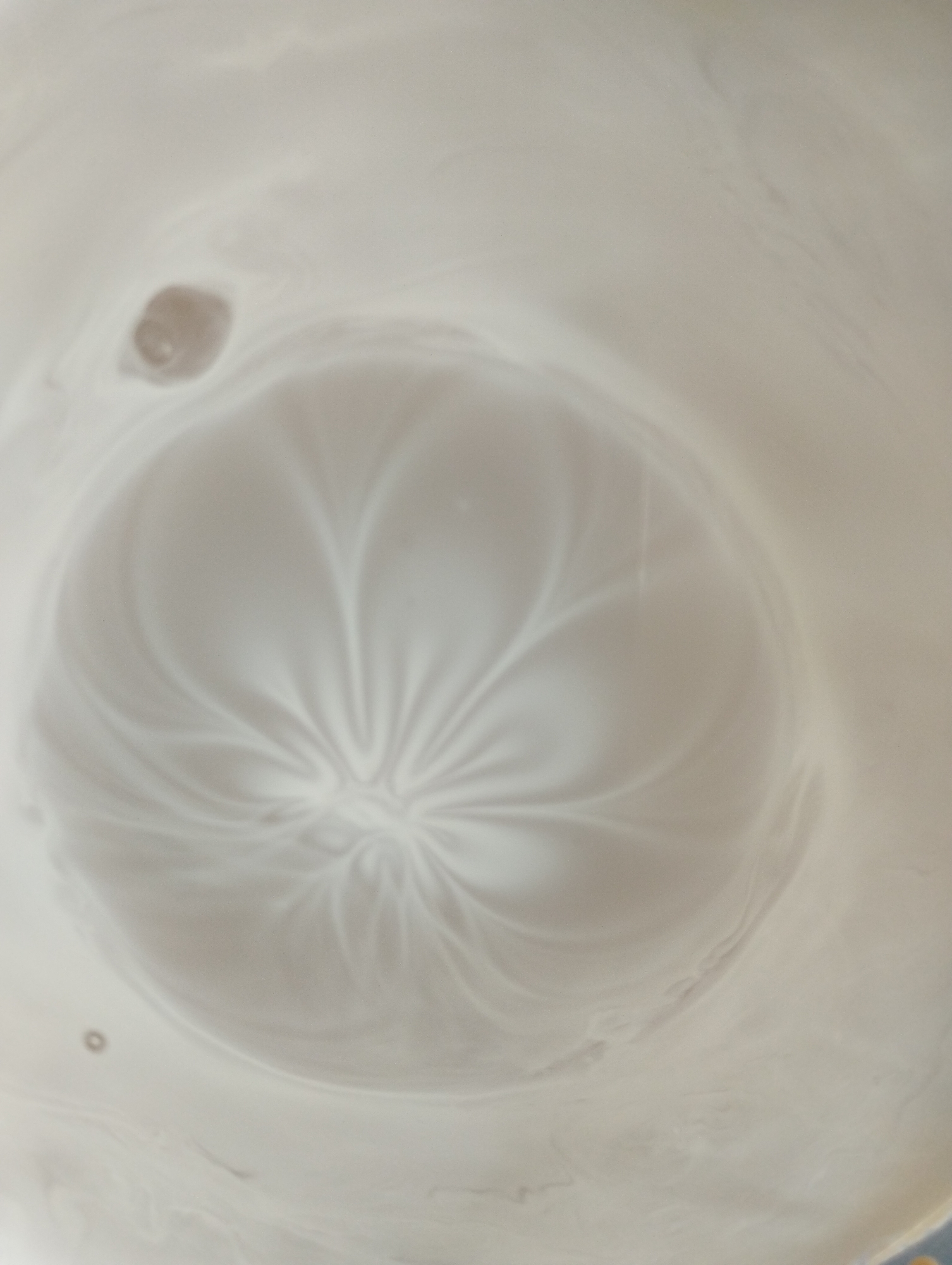 The image depicts the interior of a light-colored vessel, possibly a ceramic pot or bowl, with a swirling, marbled pattern. The pattern is concentrated in the center, creating a floral-like or radial design with lighter and darker shades of beige and white. There is a small, dark, circular imperfection or object visible in the upper left portion of the image, and another similar, smaller one at the bottom. The lighting suggests the vessel is illuminated from above, casting soft shadows. This image does not contain any elements that can be used to determine its location in San Pietro in Cariano, Italy.