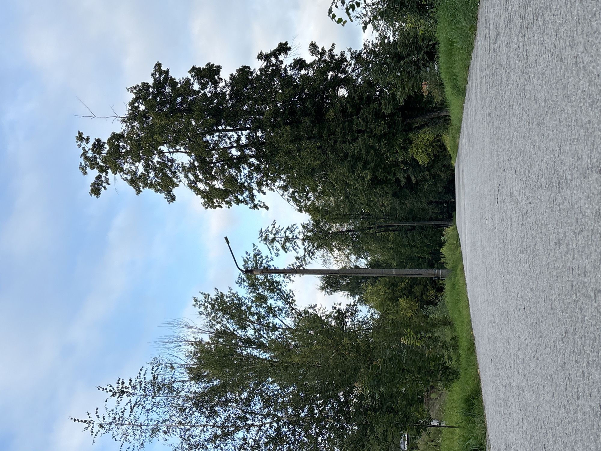The image shows an empty, asphalt pathway leading into a wooded area. The pathway is in the foreground, with tall trees and green grass lining its sides. A single lamppost stands on the right side of the pathway. The sky above is blue with scattered clouds. The scene appears to be a park or a recreational area within the city of Krasnokamsk, Russia. There are no people or animals visible in the image. The time of day appears to be daytime, likely late afternoon or early evening, based on the lighting.