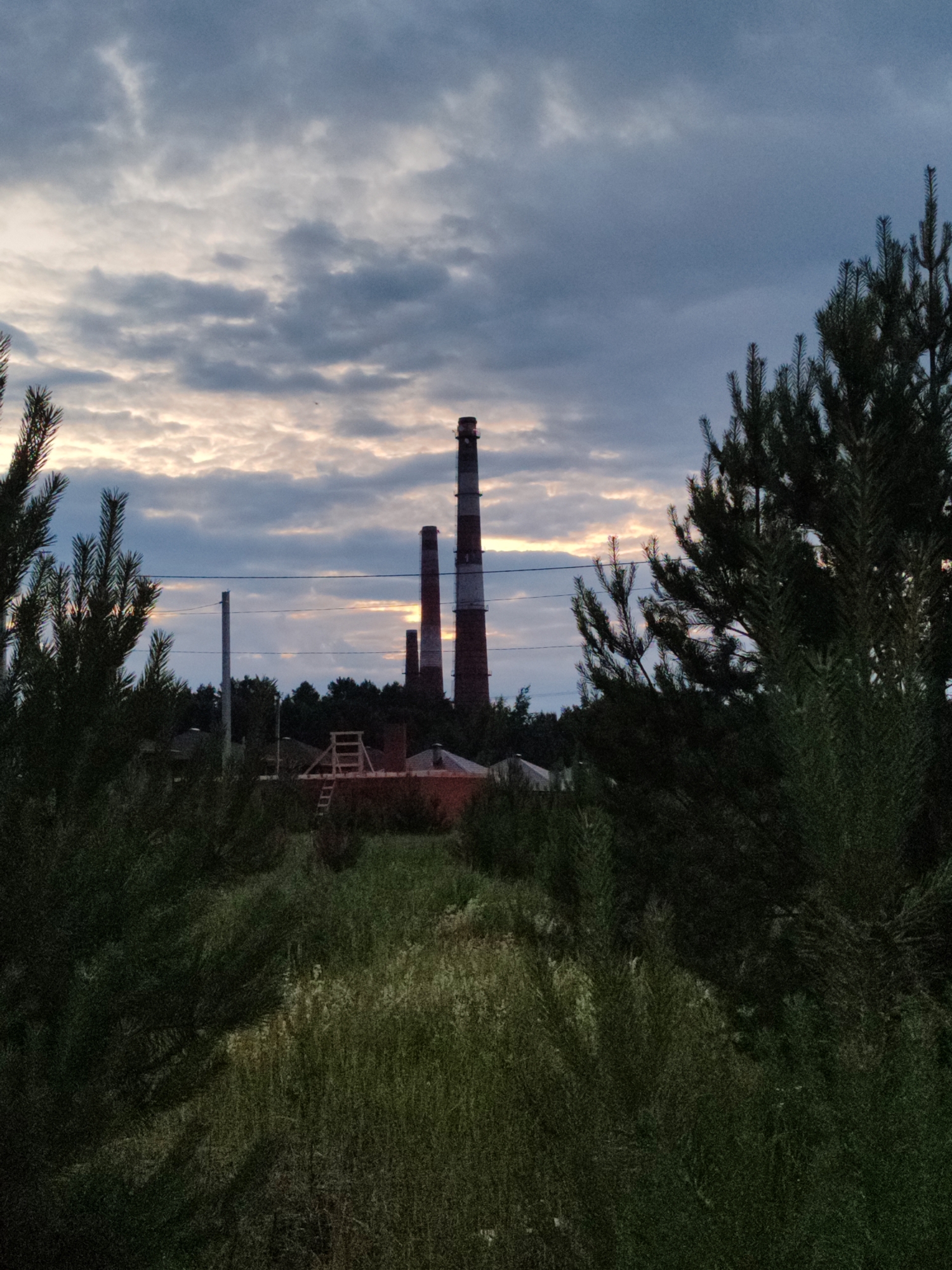 The image depicts a dusk scene with industrial smokestacks in the background, likely in Chaikovsky, Russia. The sky is overcast with clouds illuminated by the setting sun, creating a soft glow. In the foreground, dense green foliage, possibly pine trees and bushes, frames the view. The smokestacks, tall and cylindrical, are made of brick and appear to be part of a factory or industrial complex. Electrical wires are visible strung between poles, suggesting a populated or developed area. Some low-lying structures and what appears to be construction scaffolding are also present in the middle ground. No people are visible in the image. The overall atmosphere is somewhat somber and industrial, juxtaposed with the natural elements of the trees and sky.