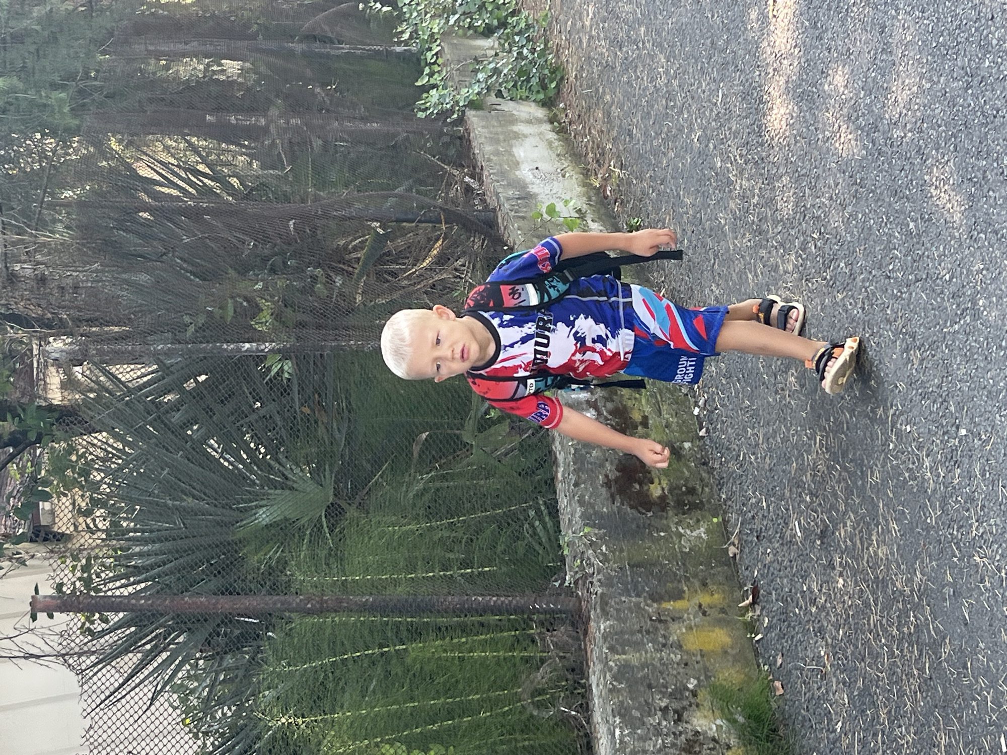 A young boy with blond hair walks on a paved path. He is wearing a blue and red shirt with a white design and blue shorts with red and white accents. He has a black backpack on. The boy is walking from left to right in the frame. Behind him, a metal fence with a concrete wall runs along the path. Lush green plants and trees are visible beyond the fence. The ground is covered with small stones and some dry leaves. The sun is casting shadows on the path, indicating it is likely daytime. The image appears to have been taken in Sochi, Russia, as suggested by the distinctive flora and architecture.