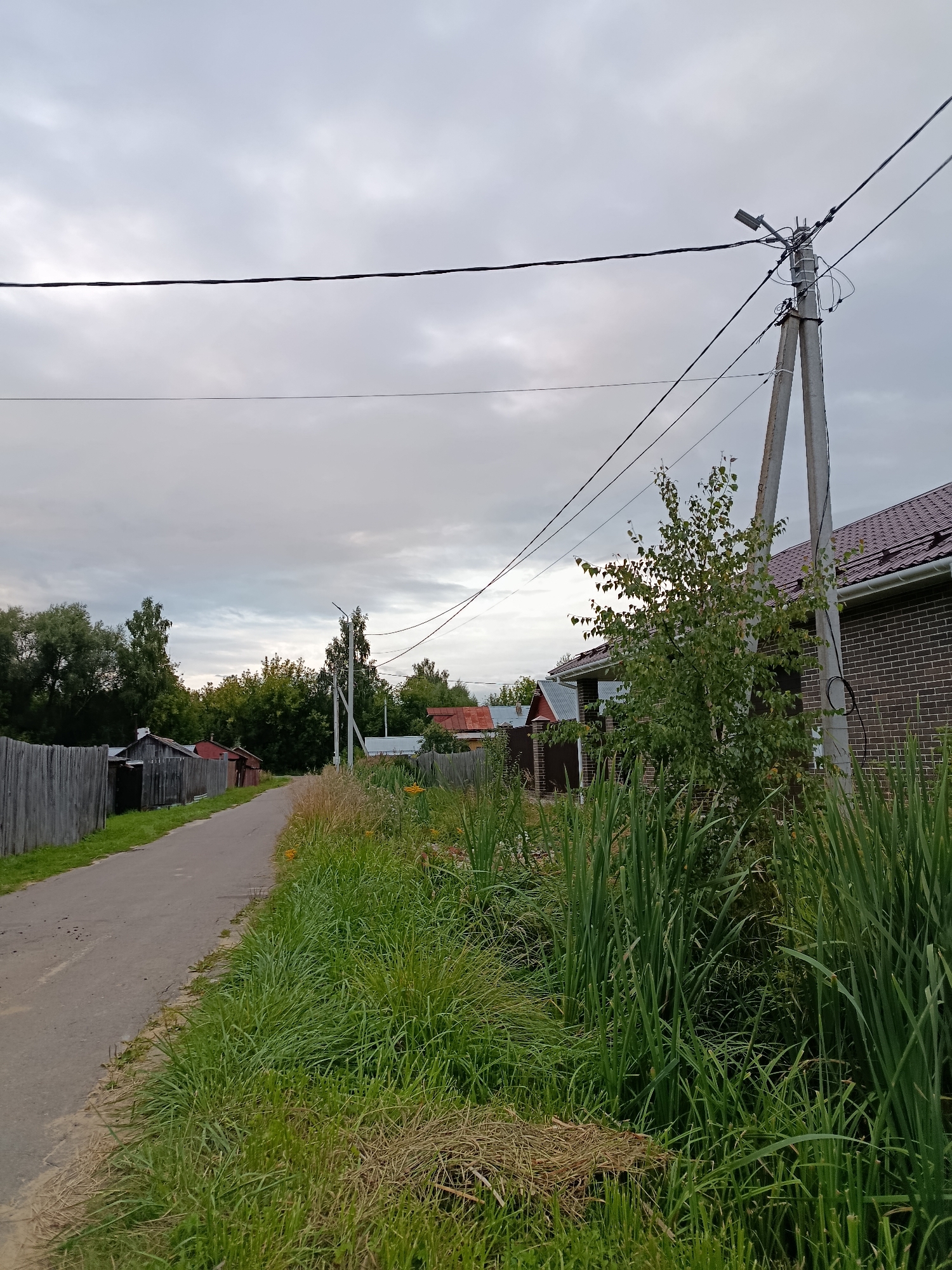 The image depicts a rural street in Vereya, Russia, under an overcast sky. A paved road runs from the lower left to the upper right of the frame, bordered on the left by a weathered wooden fence and various structures, including what appears to be a small shed. The right side of the road is dominated by a dense growth of tall green grass and reeds, with some dried grass at the base. Behind the vegetation, a modern brick house with a dark brown roof is visible, along with other residential buildings further down the street. A concrete utility pole with electrical wires and a street lamp stands prominently near the center of the image, with a small birch tree growing beside it. The overall impression is one of a quiet, lived-in residential area.