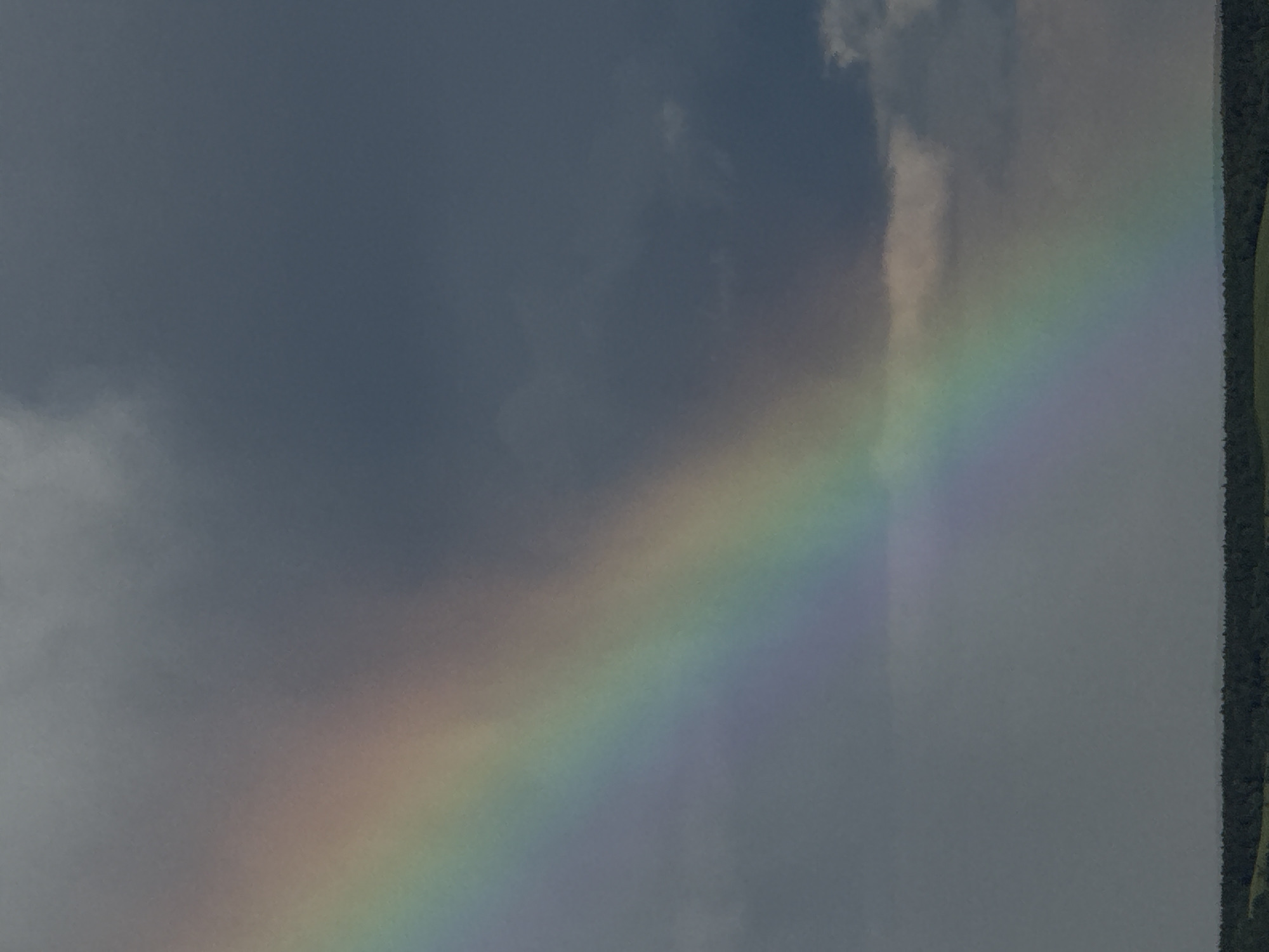 The image shows a segment of a rainbow spanning across a cloudy sky. The right edge of the image includes dark green foliage. The location is Poliudovo, Russia.