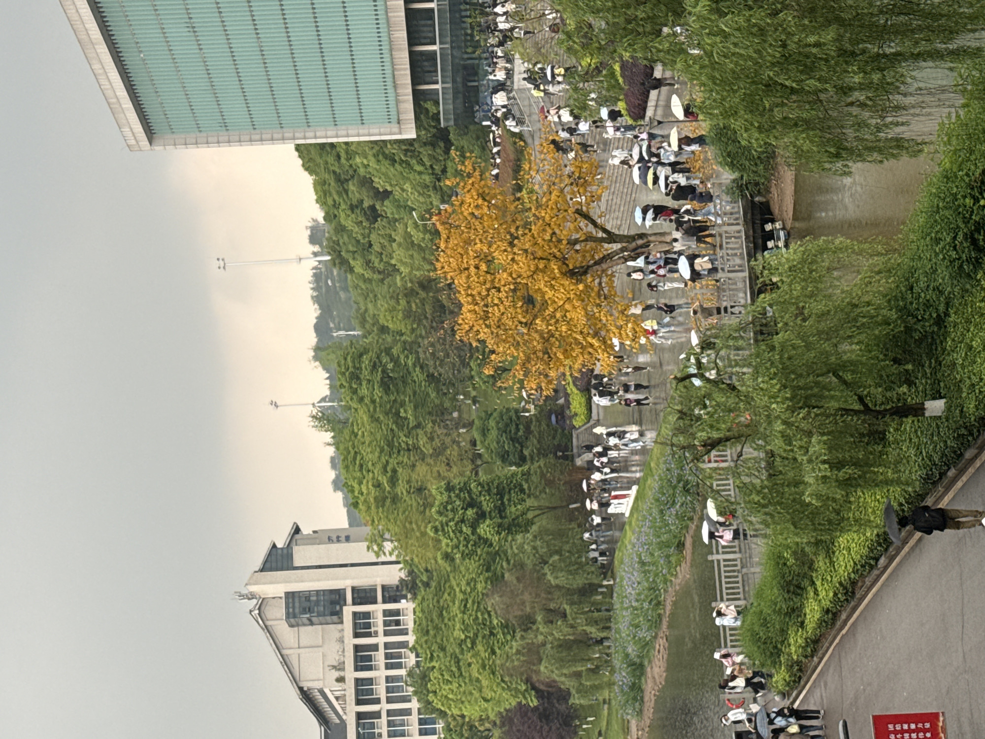 The image shows an outdoor scene in what appears to be Jiangjin, China. A large building with a blue-green facade and a taller white building are visible in the background, interspersed with dense green trees. A yellow tree stands near a waterway where people with umbrellas are walking. A stone staircase leads down to a bridge over the waterway. A sign with Chinese characters is visible near the bottom right. The weather appears overcast.