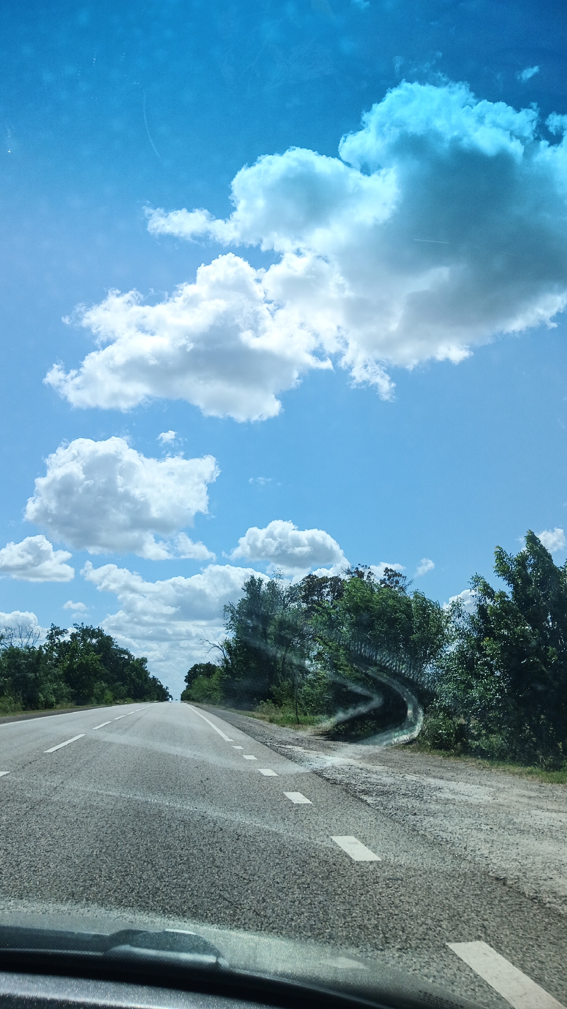 This is a vertical, eye-level, outdoor, daytime, close-up shot of a road with trees and clouds. The road is gray asphalt with white dashed lines marking lanes. The road curves to the left and leads to the horizon. The sky is bright blue with scattered white clouds. Trees line both sides of the road. The image is taken from the perspective of someone in a vehicle, as indicated by the dashboard or hood visible at the bottom of the frame and the reflection on the windshield. There are no people or animals visible in the image. The environment appears to be rural or suburban, possibly a highway or main road. There is a noticeable distortion or smudge on the windshield, particularly on the right side of the road, obscuring some of the foliage. The overall impression is one of a scenic drive on a sunny day.