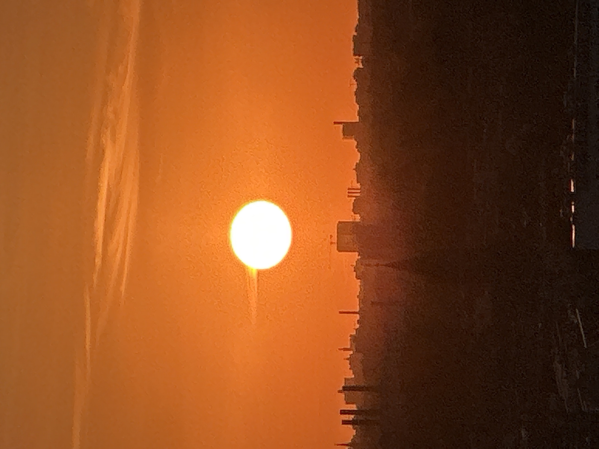 This is a vertical, low-angle, outdoor, eye-level, full shot photograph of a city skyline at sunset. The sun, a bright white orb, is positioned in the upper center of the frame, casting a warm, orange glow over the entire scene. The sky is a vibrant gradient of orange, with some lighter, wispy clouds visible near the top. Below the sky, the city skyline is silhouetted against the setting sun. Numerous buildings of varying heights are visible, with some taller structures and industrial-looking chimneys standing out. The foreground is dominated by a dark, indistinct mass of trees and other foliage, suggesting the presence of a park or natural area within the city. The overall impression is one of a peaceful, yet expansive urban landscape bathed in the dramatic light of sunset. The specific location is the city of Berlin, Germany.