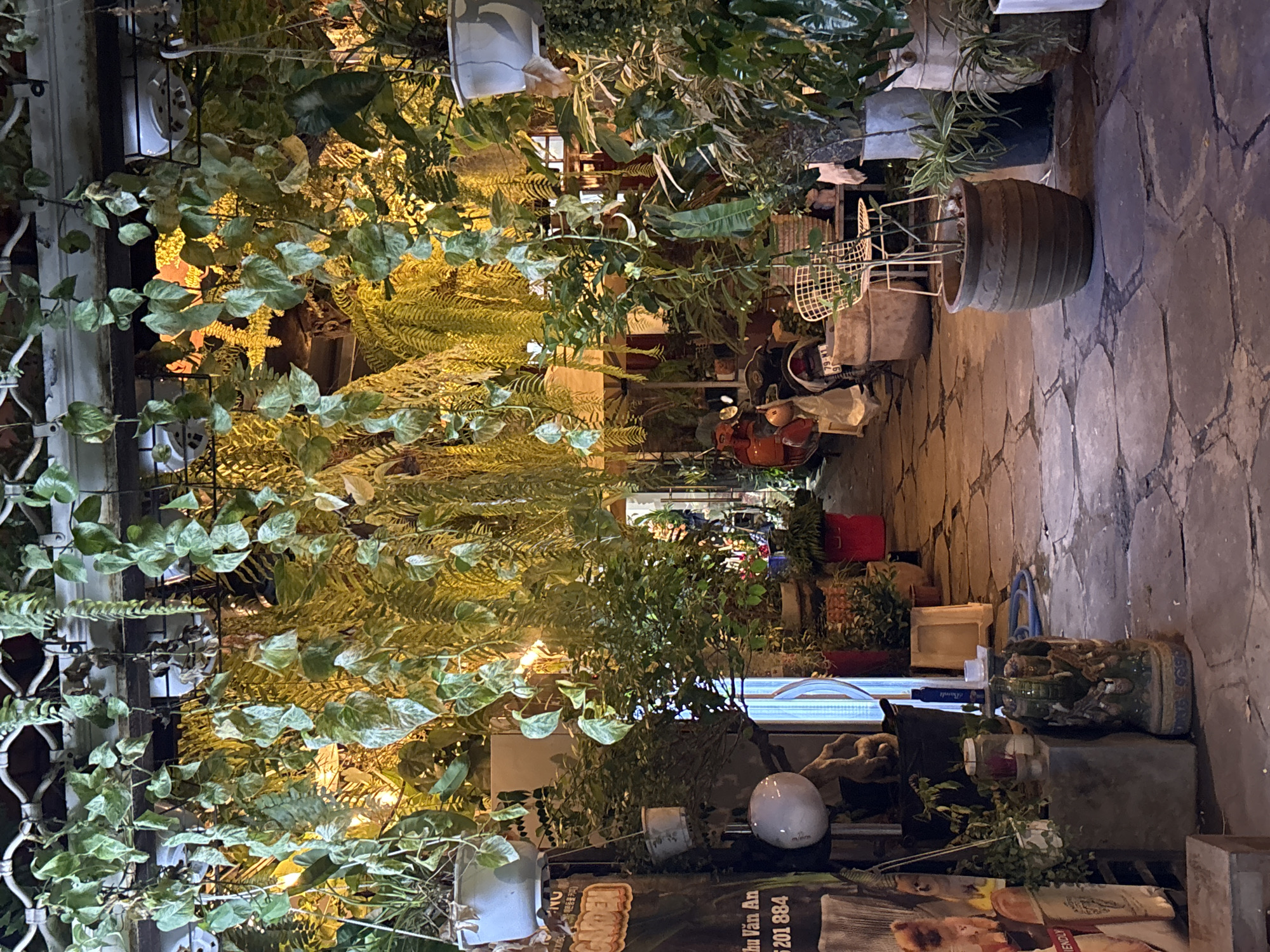 The image depicts a narrow, stone-paved alleyway in Nha Trang, Vietnam, densely lined with an abundance of potted plants and hanging vines. The overhead structure is heavily draped with lush greenery, creating a tunnel-like effect. Warm artificial lighting emanates from behind the foliage, casting a golden glow on the scene and highlighting the various plant textures.
On the left side of the alley, a large poster is affixed to a dark surface, partially obscured by hanging plants. Text on the poster is visible, including "GARDEN" in orange letters. Several white and grey pots containing plants are suspended or placed on shelves near the poster. A white spherical object, possibly a light fixture or decoration, is mounted on a textured surface to the right of the poster.
The alleyway itself is paved with irregular, large, flat grey stones. Various potted plants are strategically placed along the path. A white metal chair with a lattice seat and back is positioned on the right side of the alley, near a large, rustic pot. Further down the alley, a red scooter is visible, partially shrouded by plants.
The overall impression is that of a vibrant, somewhat overgrown urban garden or nursery, possibly a cafe or shop with an extensive plant display. The scene is densely packed with vegetation, creating a natural, slightly wild atmosphere within an urban setting. No people are visible in the frame.