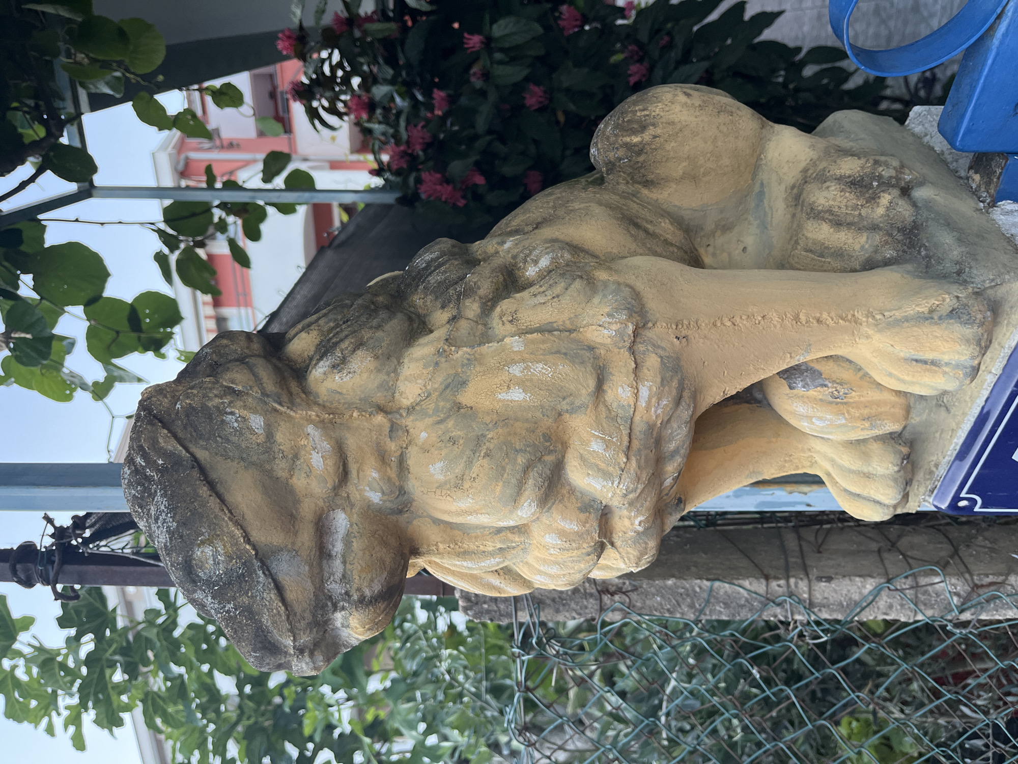 A weathered, stone lion statue, painted yellow and weathered to a mottled grey and brown, is positioned outdoors, facing left. Its mane is depicted as a series of thick, rounded curls, and its paws are large and chunky. The statue rests on a light-colored base, which is partially obscured by a blue metal railing and a blue sign with white lettering that is not fully visible.
The lion is situated next to a grey concrete pillar and a green chain-link fence. Behind the statue, lush green foliage and trees are visible. In the background, a multi-story building with a pink and white facade, possibly an apartment building or a hotel, can be seen. Small pink flowers bloom in a dense bush in front of the building and to the right of the lion. The sky above is a pale blue, indicating it is daytime.
The scene appears to be in a residential or garden area. The style of the lion statue, particularly its stylized mane and chunky features, is reminiscent of those often found guarding temples or gates in East Asian cultures. While the provided image itself does not contain specific identifiers of Budva, Montenegro, such statues are sometimes found in gardens or as decorative elements in public spaces.