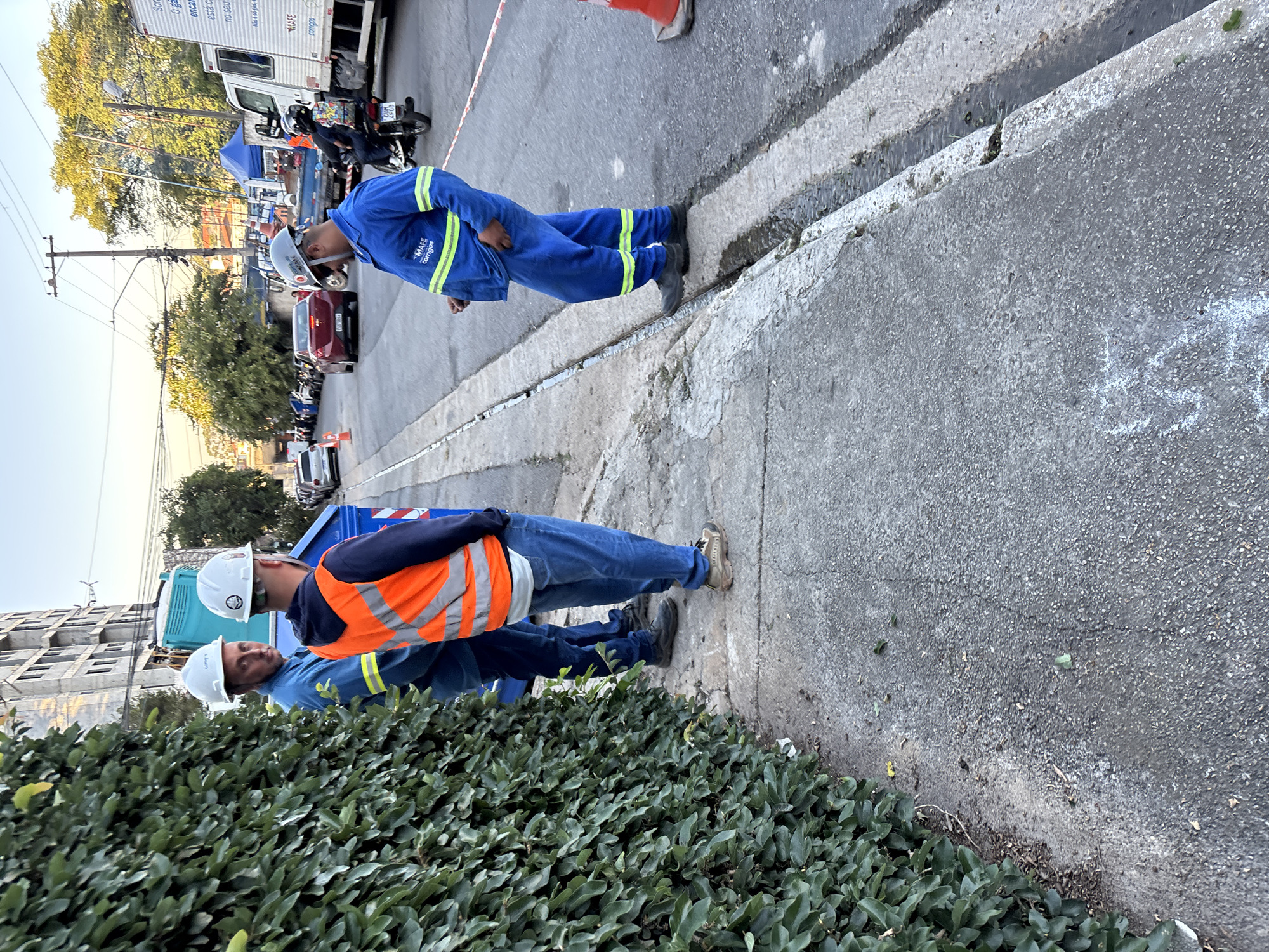 The image shows an outdoor scene. Two workers in hard hats and work clothes are standing near a bush. One worker is wearing an orange vest over his work clothes. Another worker in blue overalls is looking down at the curb. A truck and other vehicles are visible in the background. The location is São Paulo, Brazil.