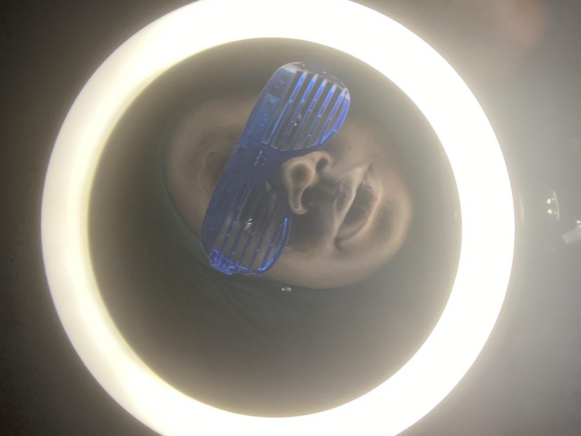 A close-up, high-angle photograph depicts a person wearing blue, louvered sunglasses, positioned within the circular illumination of a ring light. The individual's face, including the nose and part of the ear, is visible through the lens of the glasses. The subject is centered within the ring light, creating a halo effect. The background is dark. There is no indication of the location being Maigizo, Nigeria.