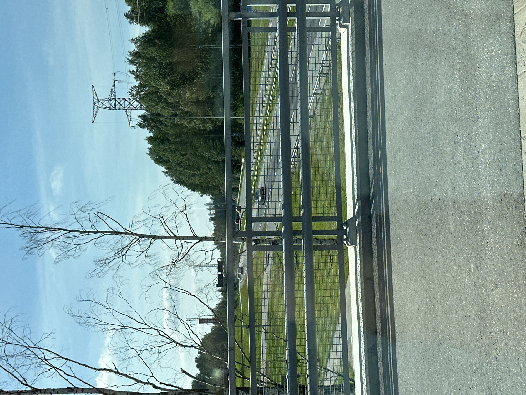An outdoor, eye-level, medium shot captures a view of a highway from a bridge railing. The highway is in the background, with a few cars driving on it. The railing is in the foreground, made of metal bars and mesh. Beyond the highway, there is a dense forest, and in the distance, a large power line tower stands against a blue sky. The overall lighting suggests it is daytime, with clear weather.