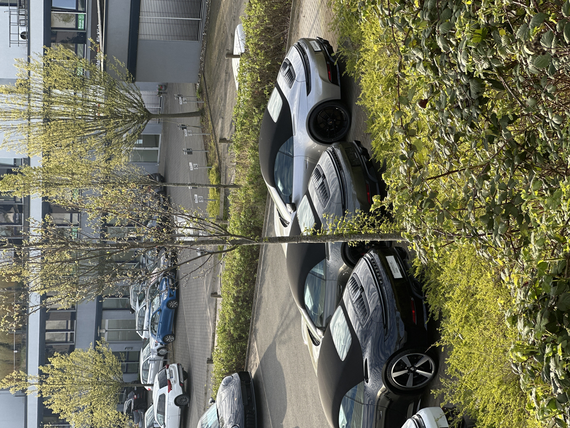 The image depicts an outdoor scene in Holzwickede, Germany. A row of parked cars, including a silver and a black Porsche, are visible along a paved area bordered by greenery and trees. In the background, a multi-story building with windows and some visible signage stands. Other parked vehicles of various colors are also present further away. The scene appears to be a parking area adjacent to a building or office complex.
