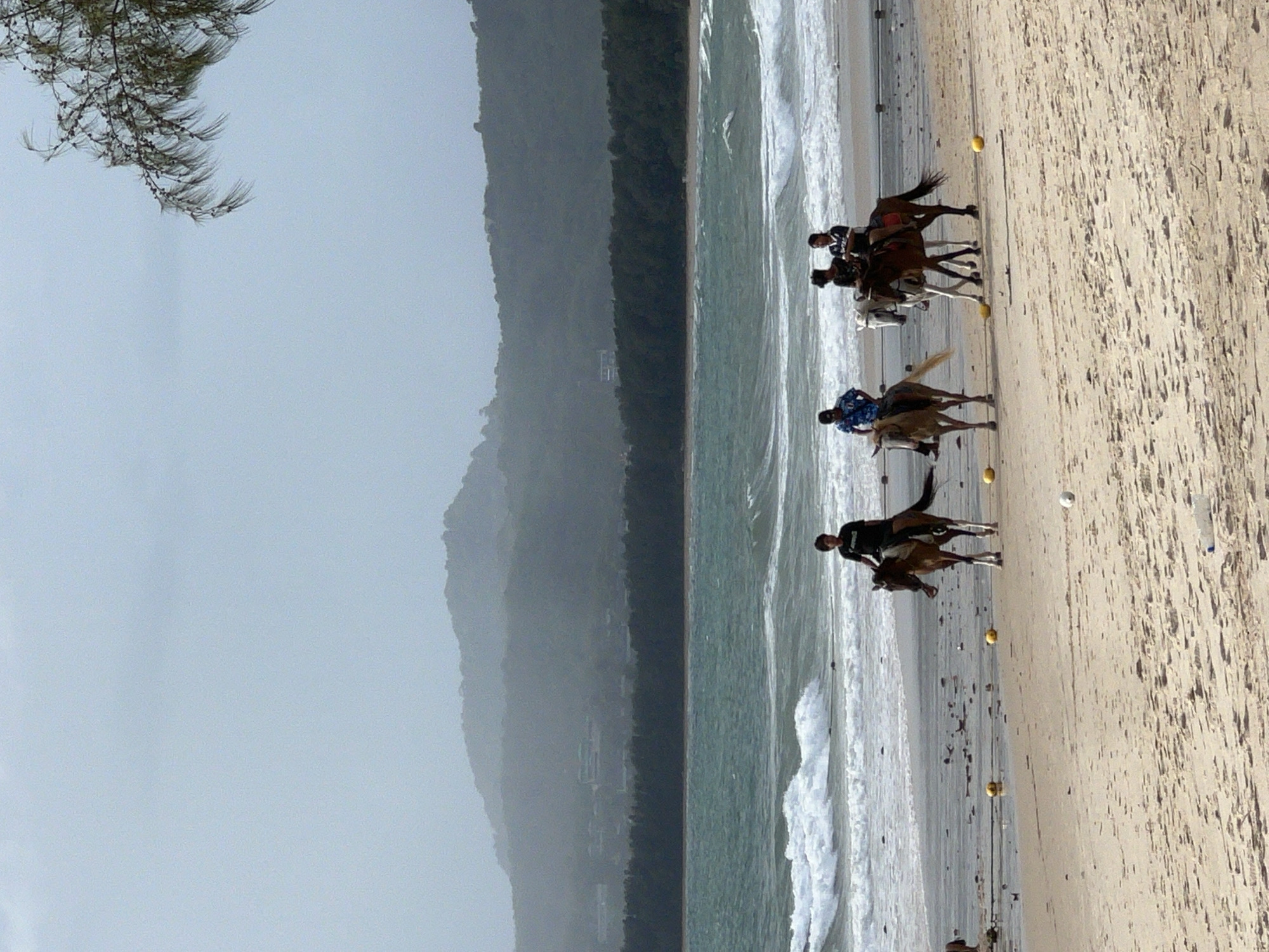 On a beach in Unknown, Unknown, several people are riding horses along the shoreline. The beach has wet sand near the water and dry sand further inland, marked by a line of yellow buoys. The ocean has visible waves. The background shows a densely vegetated mountainside under a gray sky. A tree branch appears in the top-left corner of the frame.