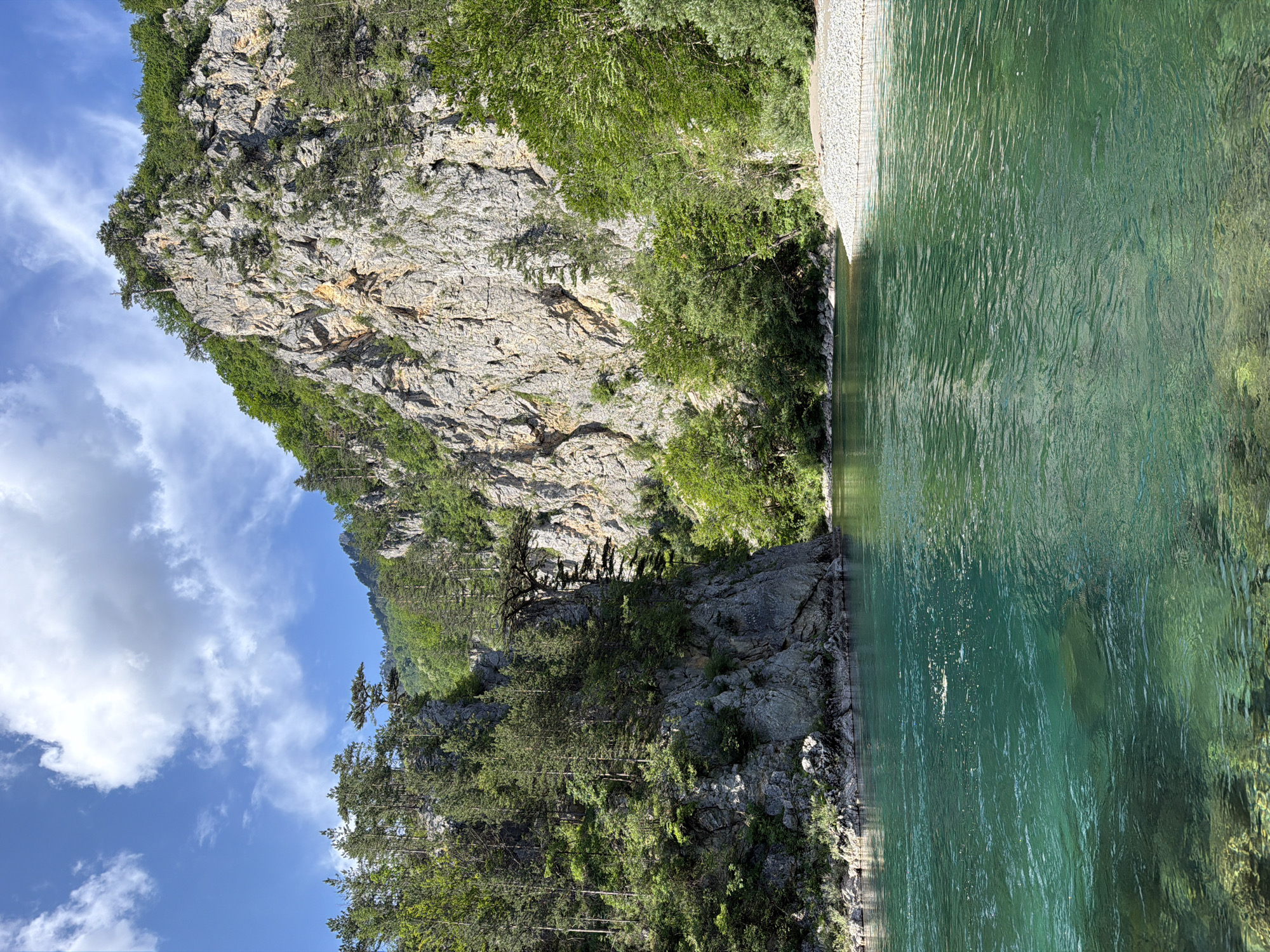 The image depicts a natural scene with a steep, rocky cliff face covered in lush green vegetation and trees. A clear, turquoise river flows along the right side of the frame, its surface rippled by the gentle movement of the water. The riverbed is visible in some areas, with rocks and submerged vegetation adding to the depth and clarity of the water. The cliff appears to be composed of sedimentary rock, with visible striations and layers. A few scattered trees grow precariously from the cliff face, their roots clinging to the rock. The sky is a vibrant blue, with a few wispy white clouds. The overall impression is one of natural beauty and tranquility, with the vibrant green of the vegetation and the cool blue of the river creating a refreshing and inviting atmosphere. The scene appears to be bathed in natural sunlight, suggesting it is daytime. The location is Bistrica, Montenegro. There is no visible text.