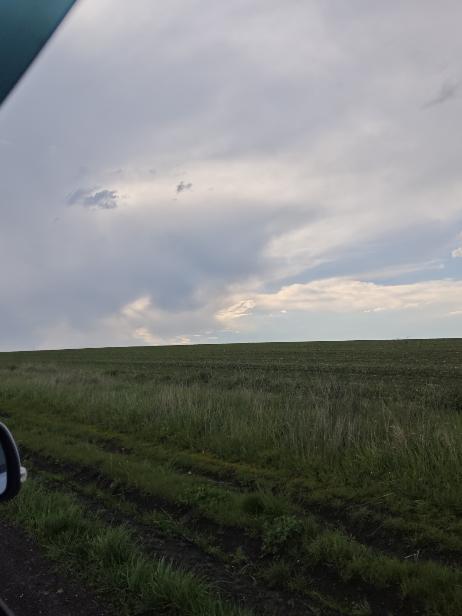 The image shows a field under a cloudy sky. The field is green, with some taller grasses in the foreground and a lower, denser crop in the background. The ground in the immediate foreground appears dark, possibly wet soil. There is a reflection of a side mirror of a vehicle on the left. The scene looks like it was taken on a road, likely in a rural area. The location being Etoka, Russia, is not visible in the image.
