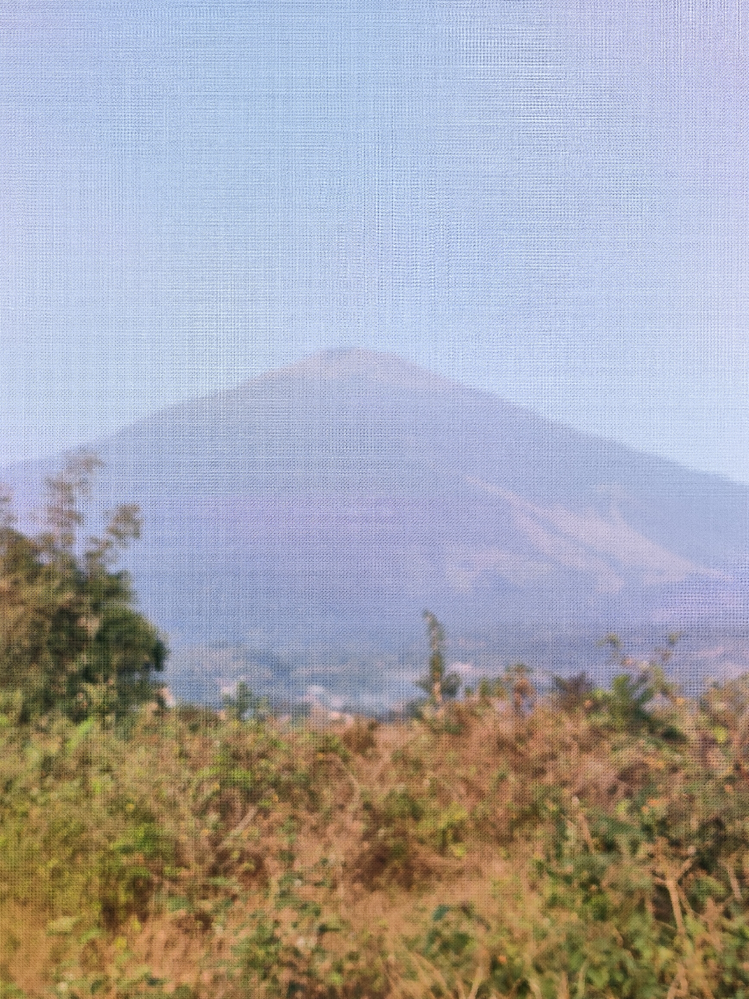 The image shows a distant, hazy view of a large mountain under a pale blue sky. In the foreground, there is dense vegetation with dry brown grasses and some green foliage. The overall impression is of a natural landscape, possibly a rural or mountainous area. There are no people or specific man-made objects visible that would indicate a precise location within Caracas, Indonesia. The image quality is low, with a visible pixelated texture.
