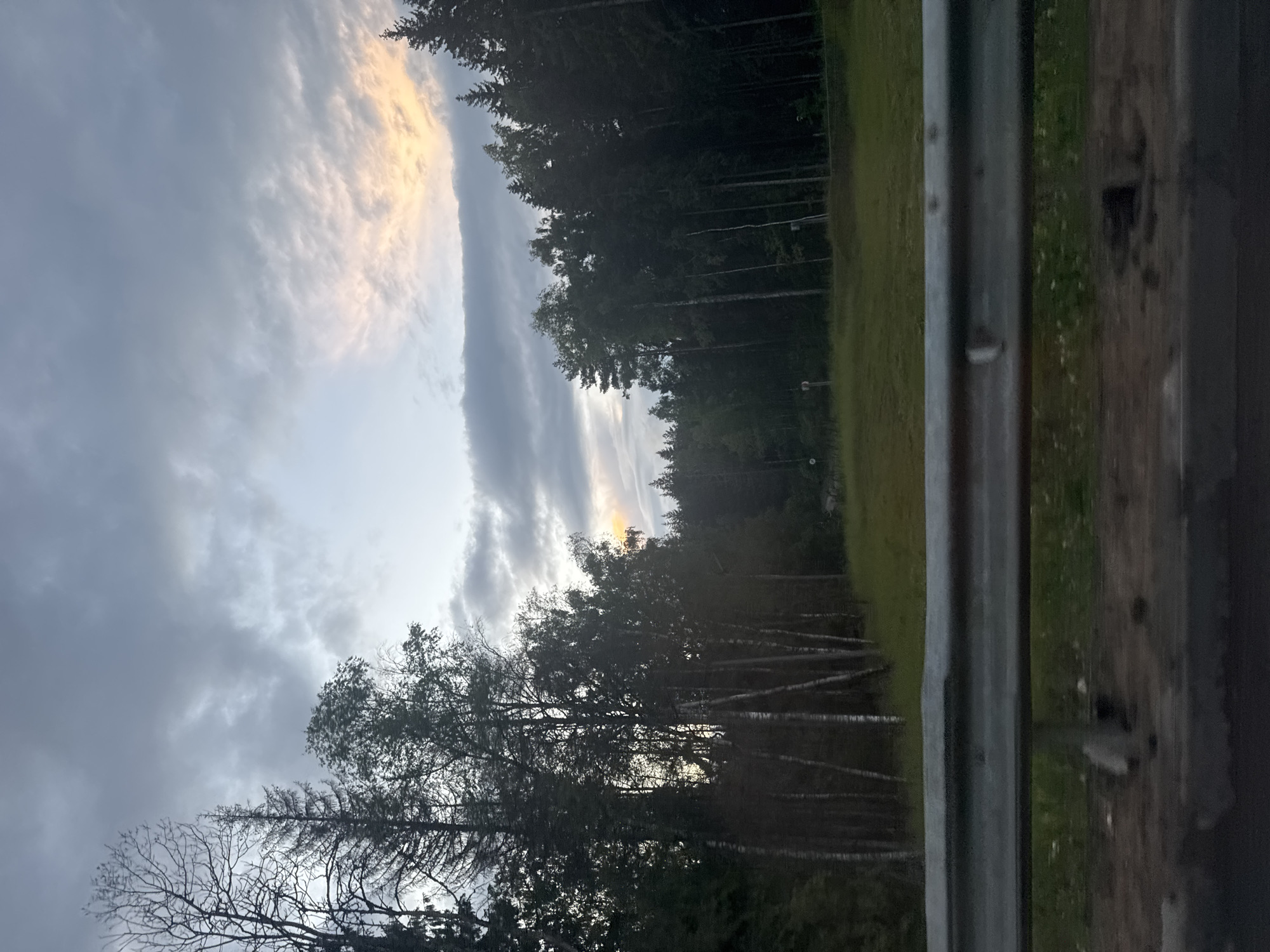 The image captures a roadside view of a forest and a cloudy sky. A metal guardrail runs across the foreground, obscuring the lower portion of the scene. Beyond the guardrail, a grassy area is visible, with a dense forest bordering it. The forest consists of a mix of deciduous trees, including birch trees with their characteristic white bark, and evergreen trees. The sky is overcast with dark gray clouds, but there is a patch of light orange and yellow glow on the horizon, suggesting the sun is setting or has recently risen. The scene appears to be in a rural or semi-rural area, possibly on the outskirts of a city like Shchelkovo, Russia, given the dense tree line and lack of significant urban development. No people are visible in the image.
