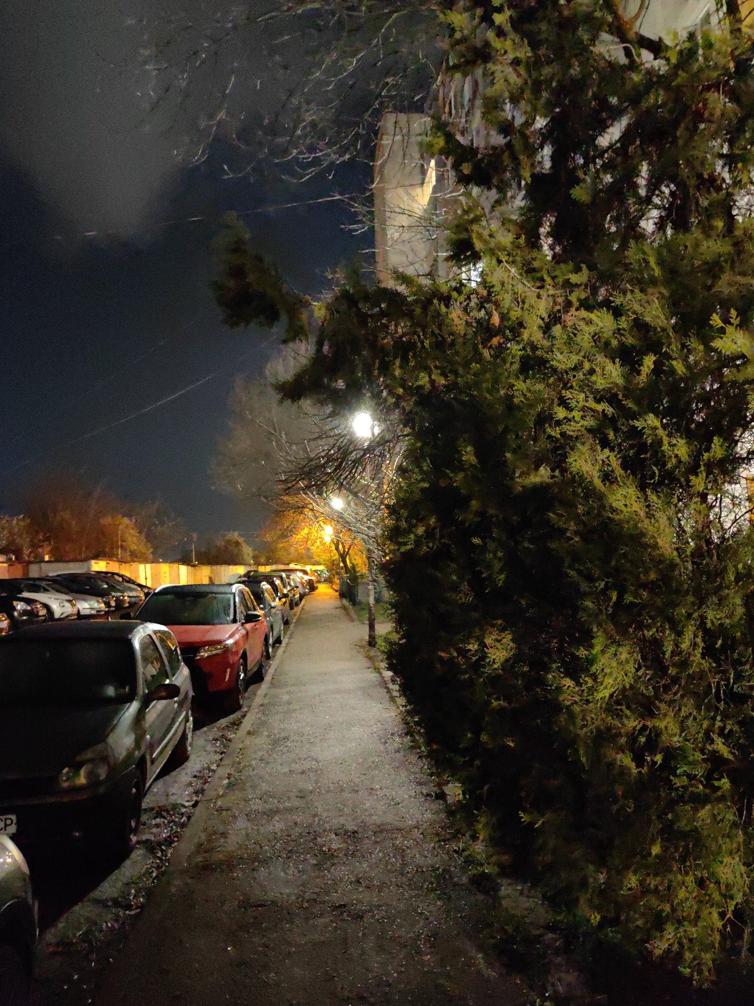 The image shows a street in Sofia, Bulgaria, at night. Cars are parked along the left side of the street, and a sidewalk runs along the right. A large, dark green bush is prominent on the right side of the image. Streetlights illuminate the sidewalk and road. The sky is dark, with some cloud cover. A tall, light-colored building is visible in the background, behind bare tree branches.