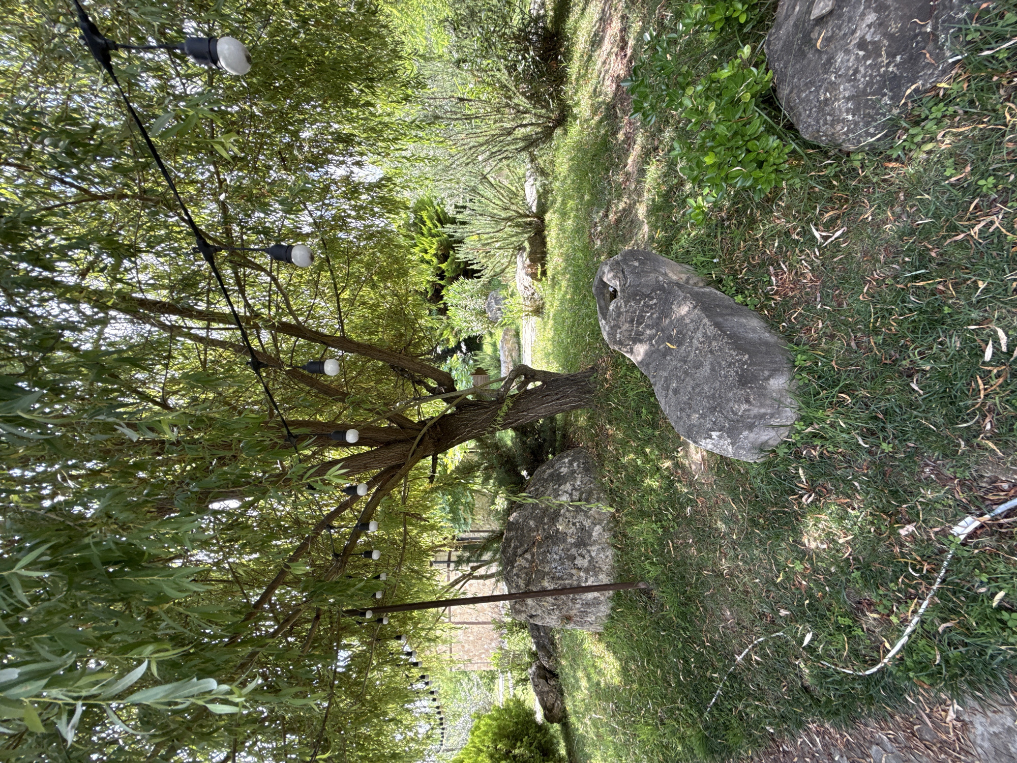 In the city of Mirikənd, Azerbaijan, a natural scene unfolds under a canopy of willow-like trees. String lights with white bulbs are suspended from a black wire, casting a soft glow over the area. Several large, weathered rocks are scattered across the grassy terrain, some partially covered by fallen leaves. A long, white hose snakes its way across the ground, disappearing behind one of the larger stones. In the background, a stone building with a pitched roof is visible, partially obscured by foliage. The overall ambiance is one of a serene outdoor space, possibly a garden or park.